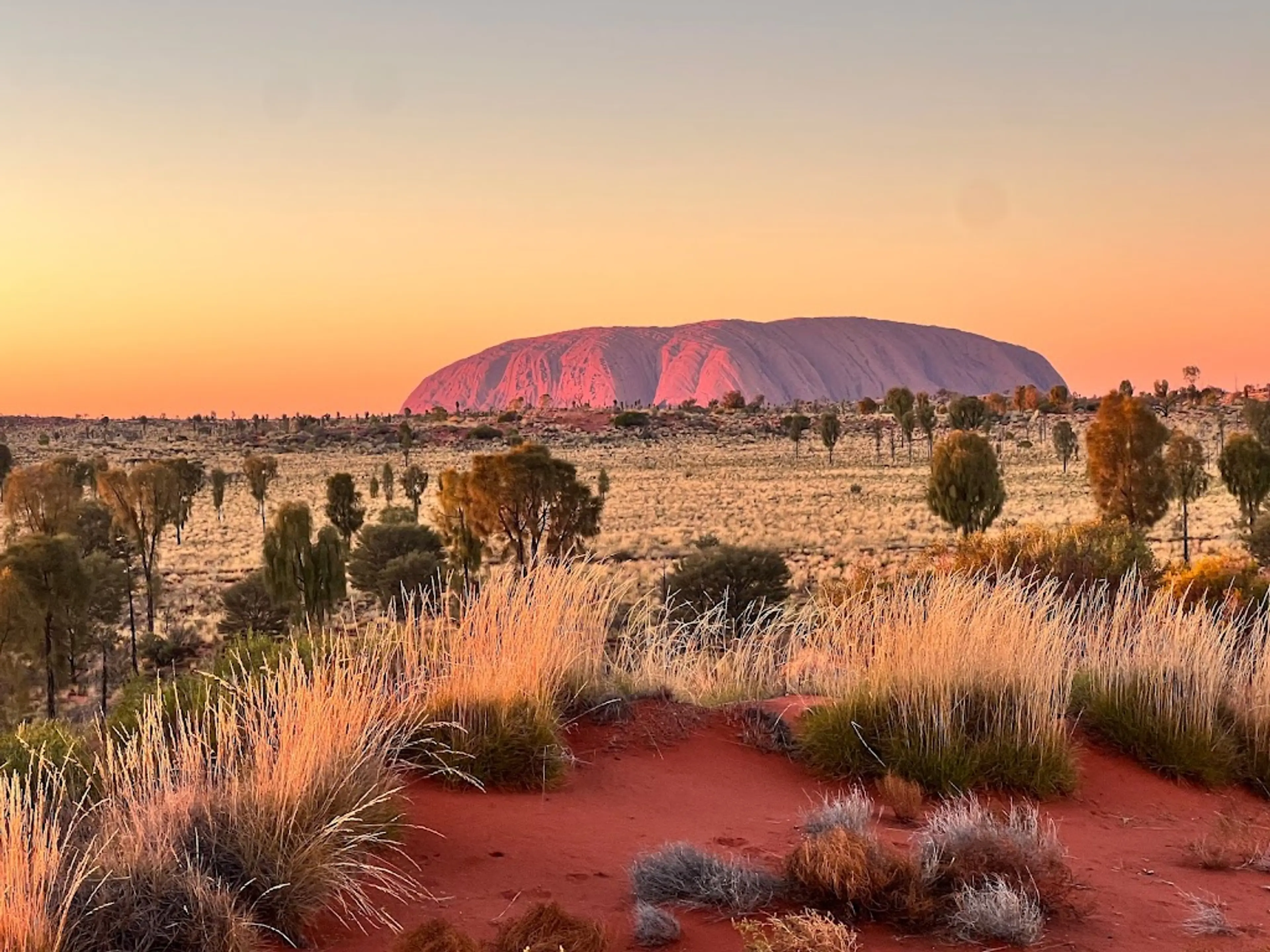 Sunrise camel tour