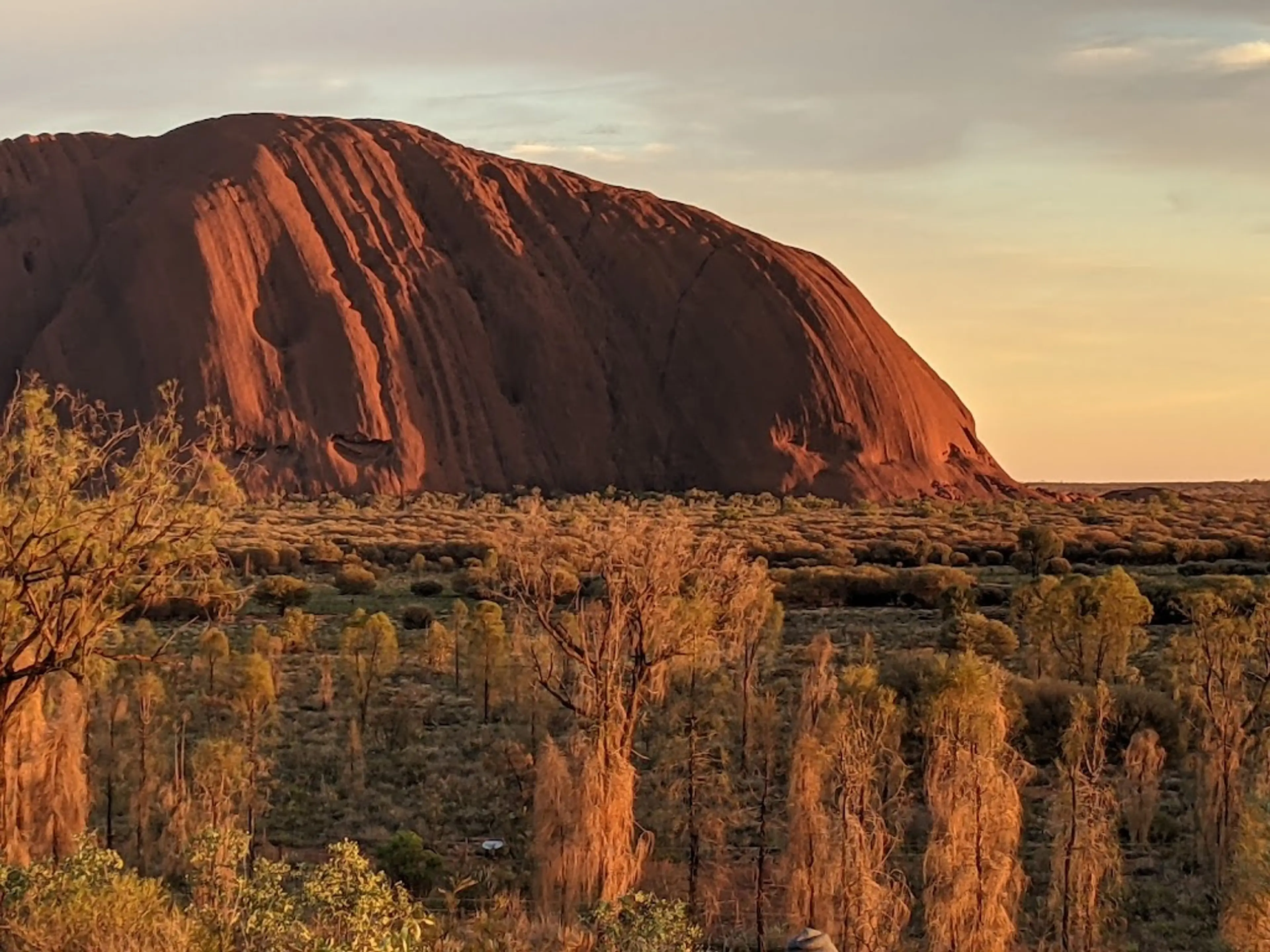 Sunrise viewing of Uluru