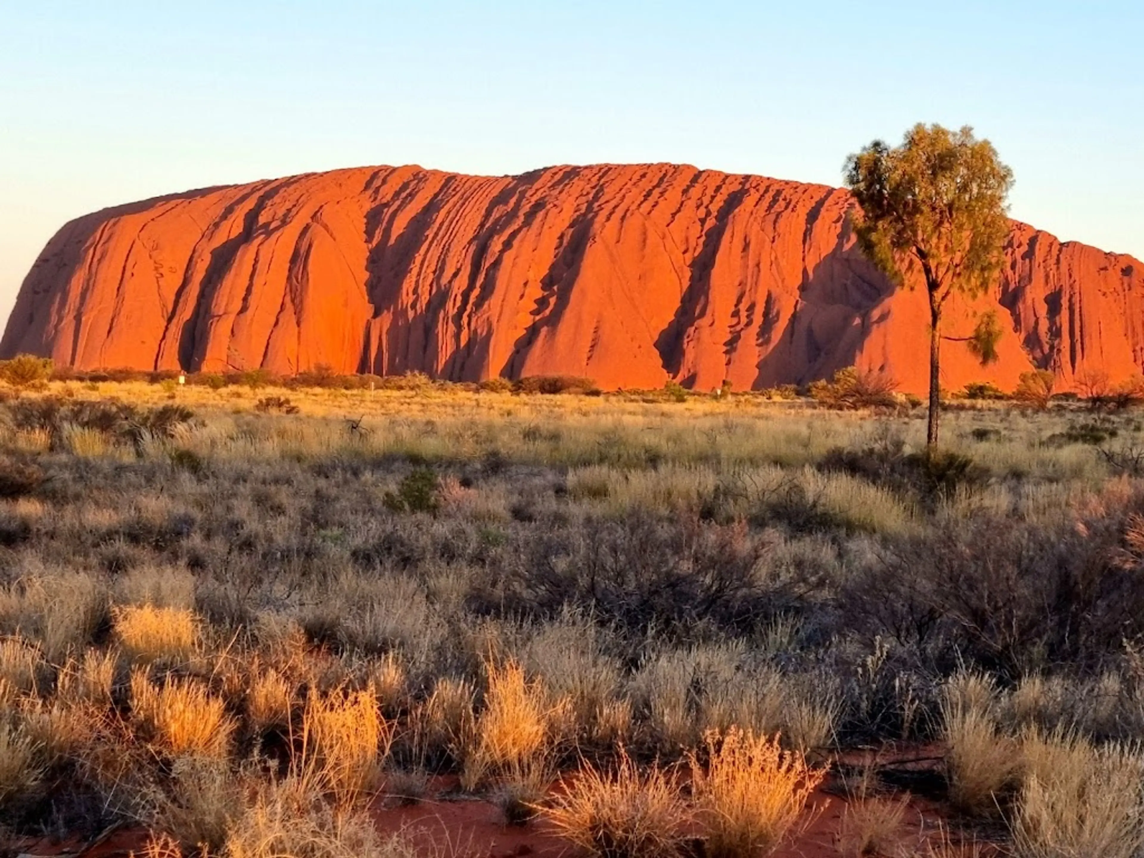 Uluru-Kata Tjuta Cultural Centre