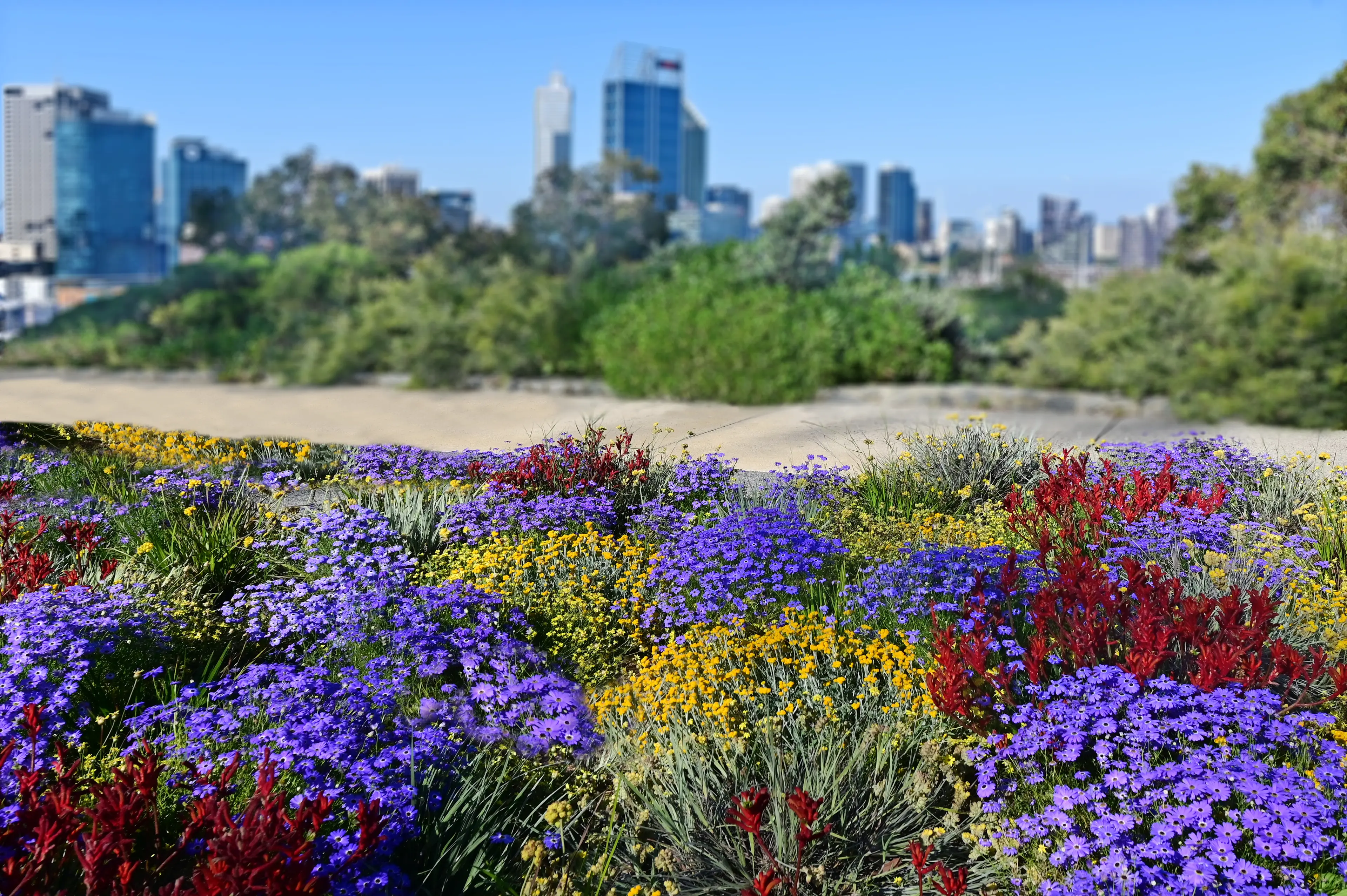 Kings Park and Botanic Garden
