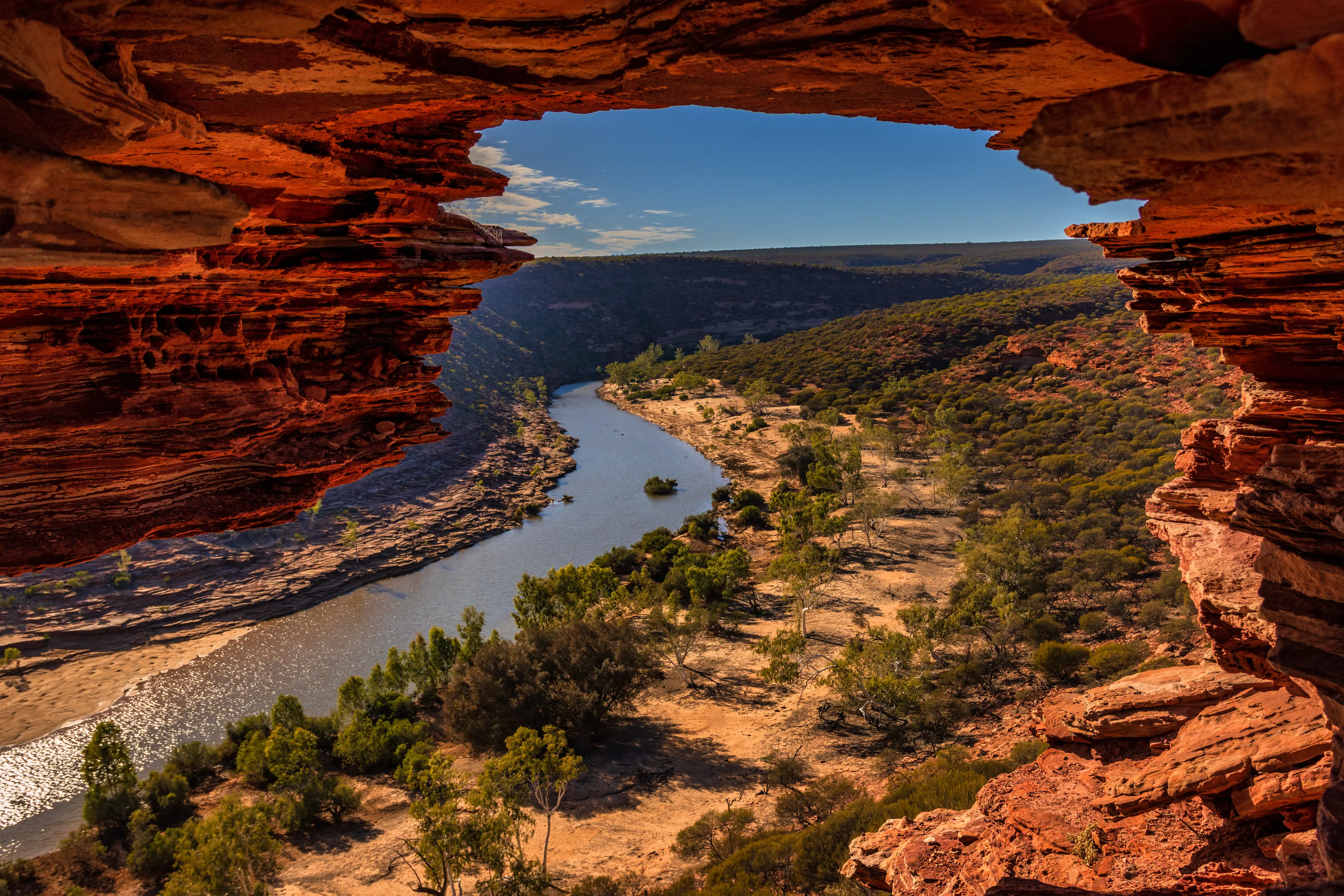 Nature's Window