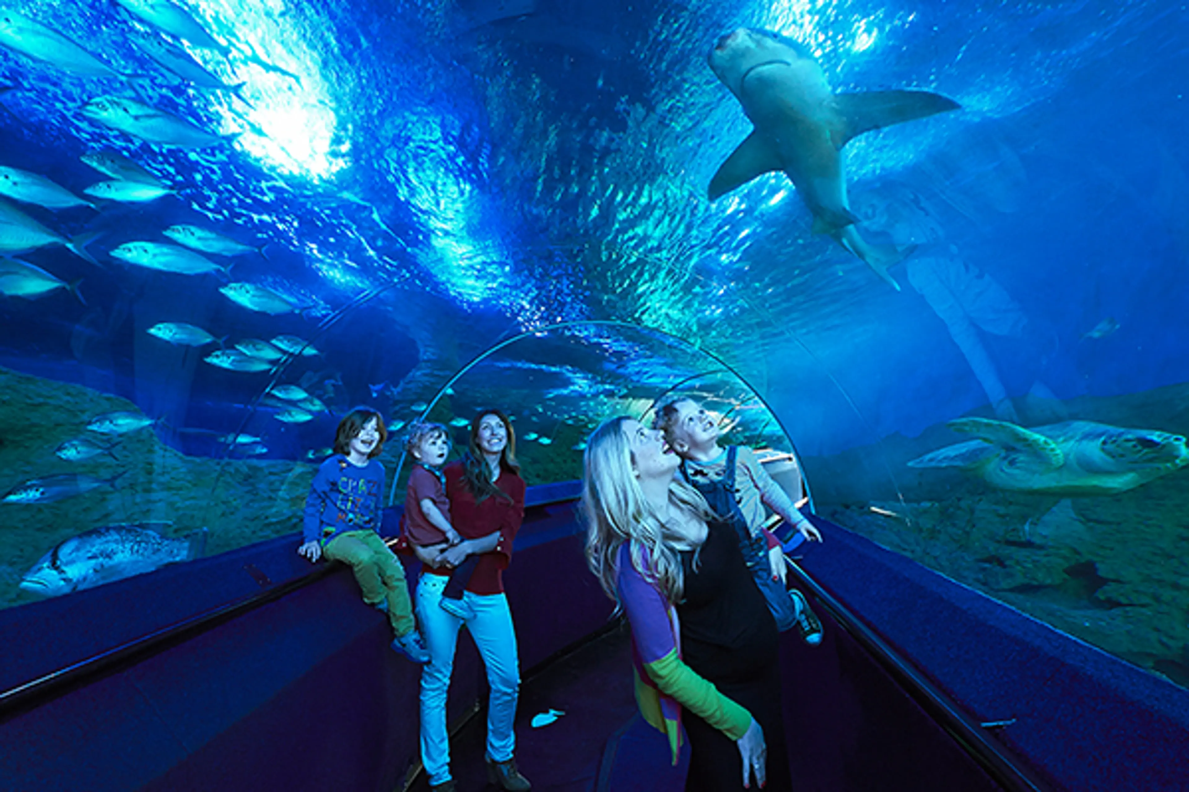 Aquarium of Western Australia