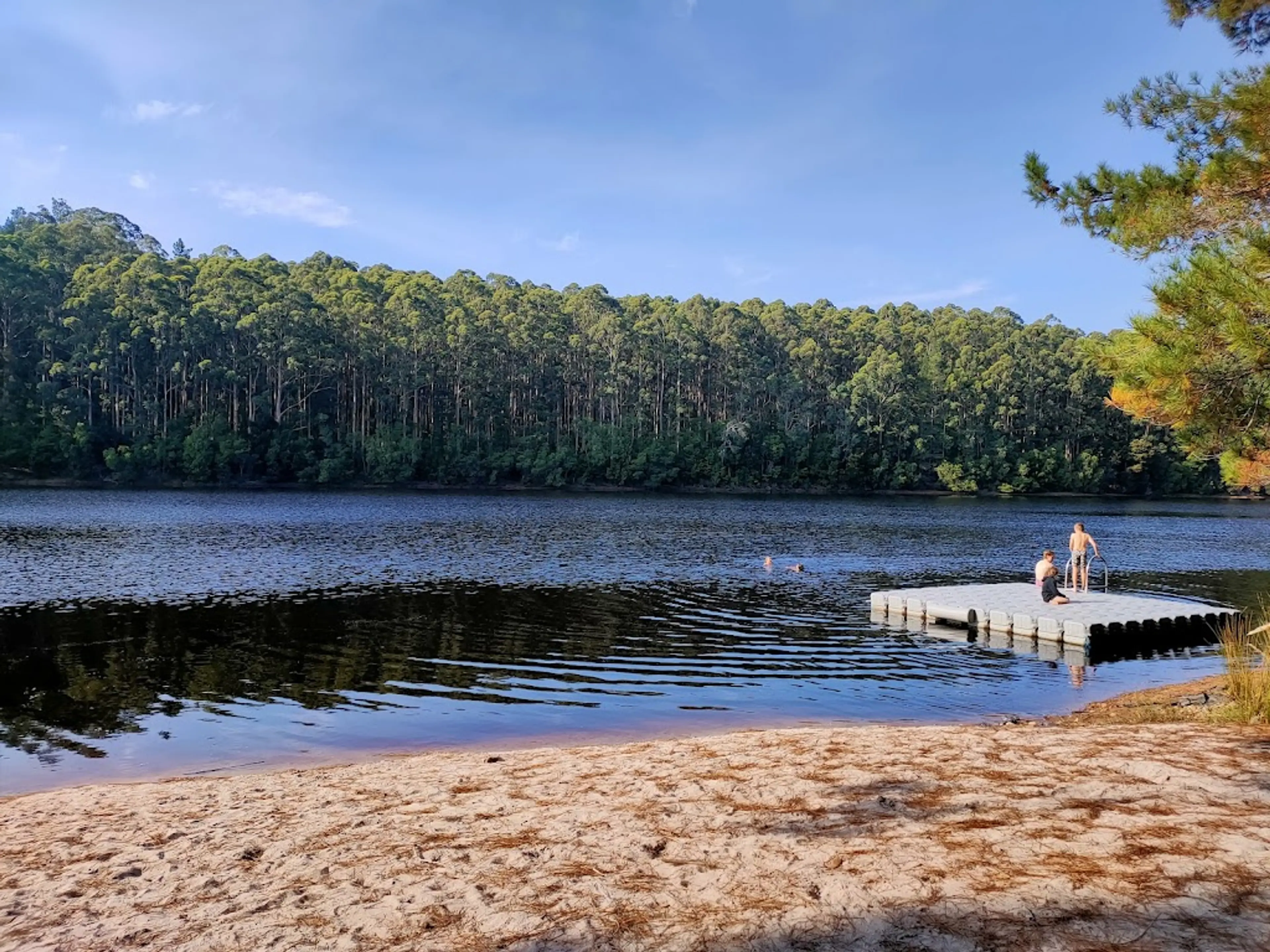 Hiking in Karri Forests