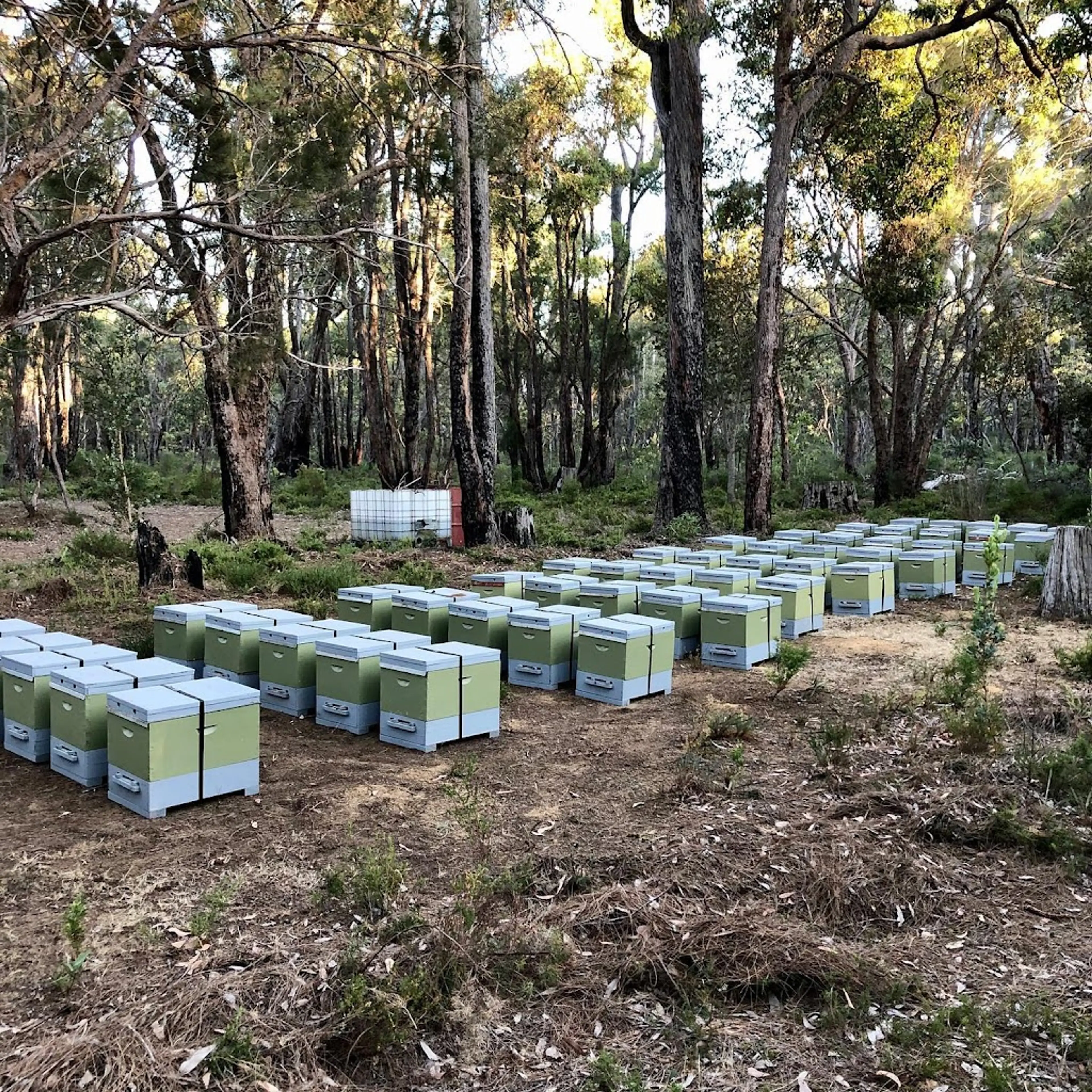 Honey Farm in Swan Valley