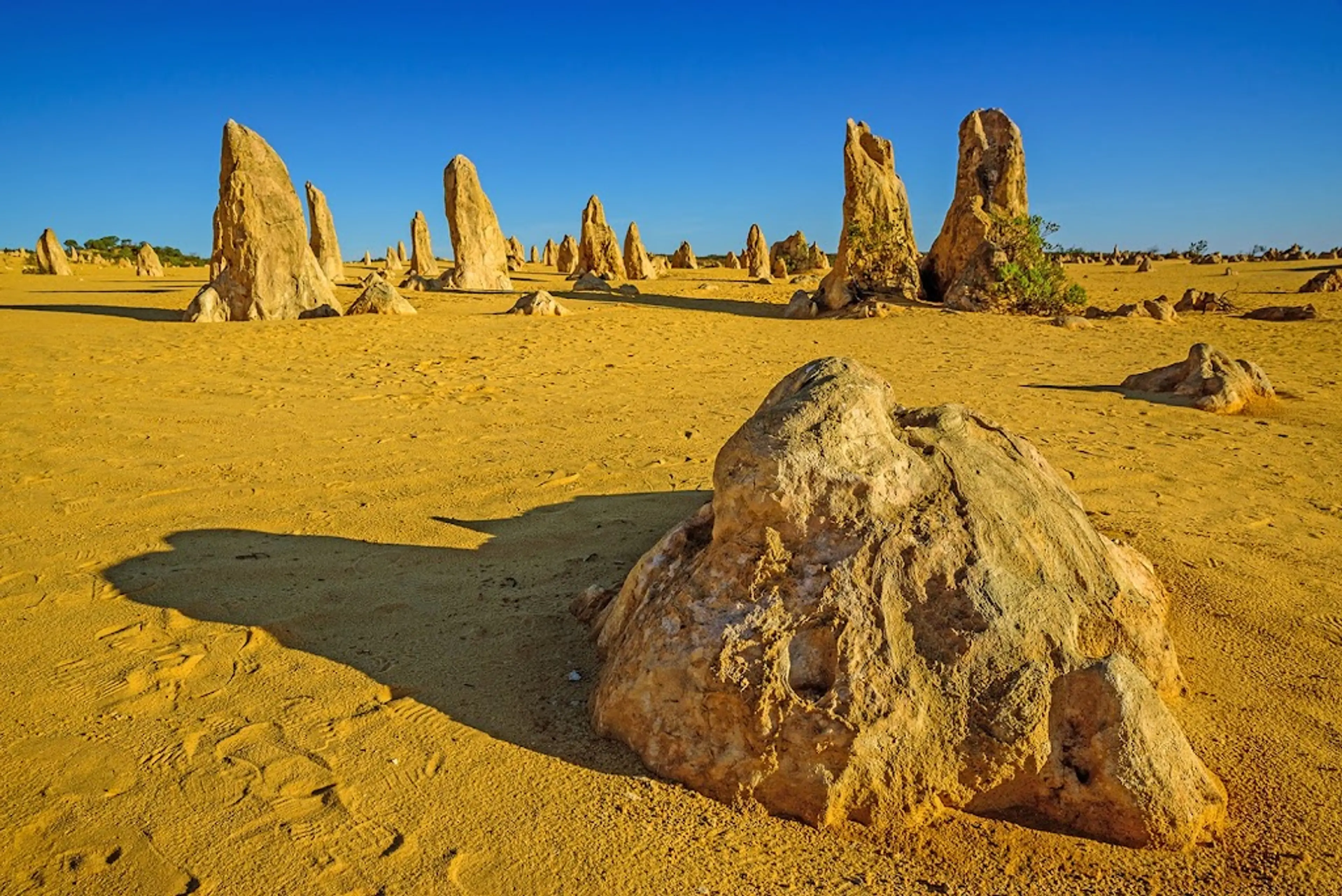 Pinnacles Desert in Nambung National Park