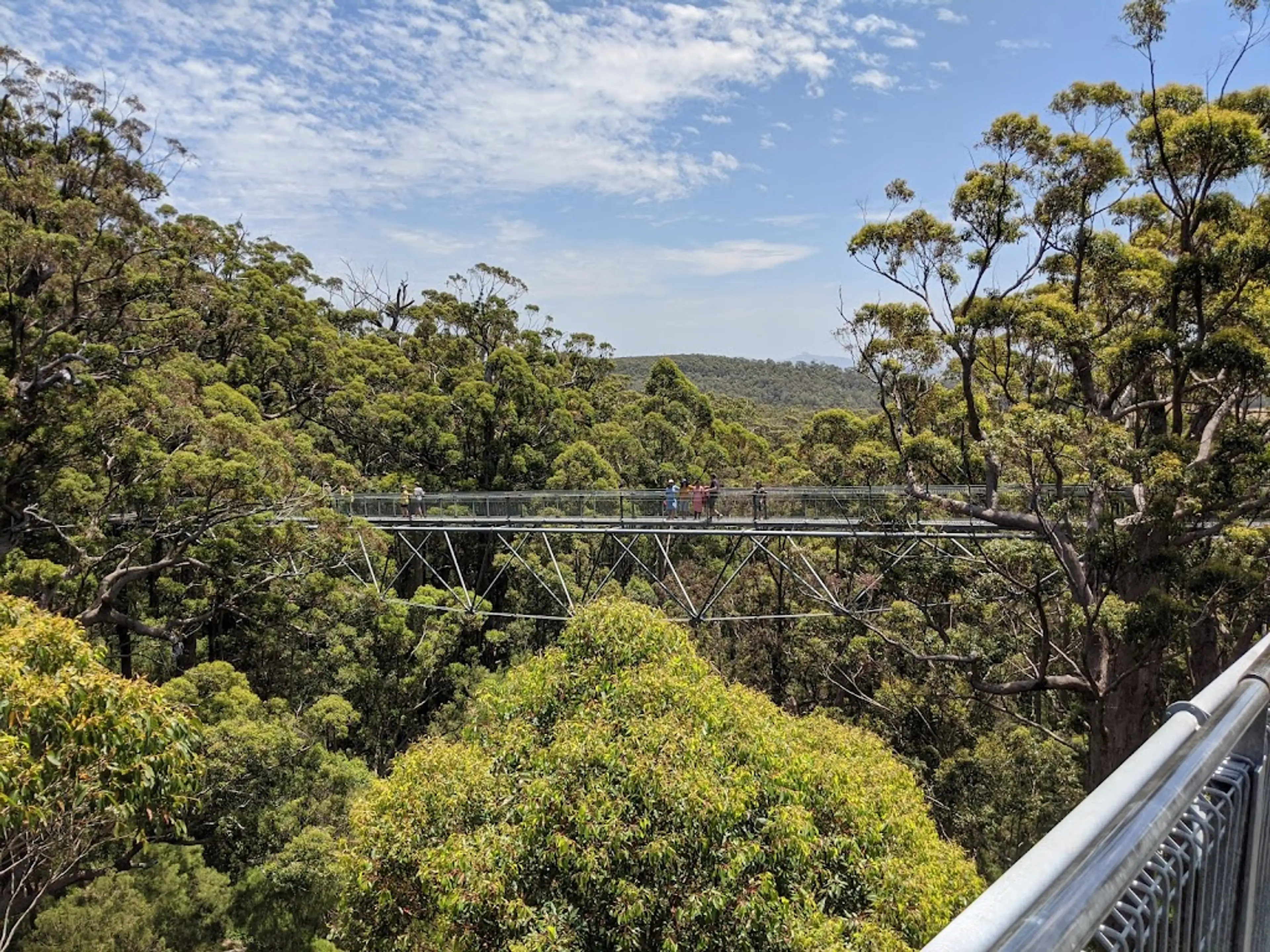 Walpole-Nornalup National Park