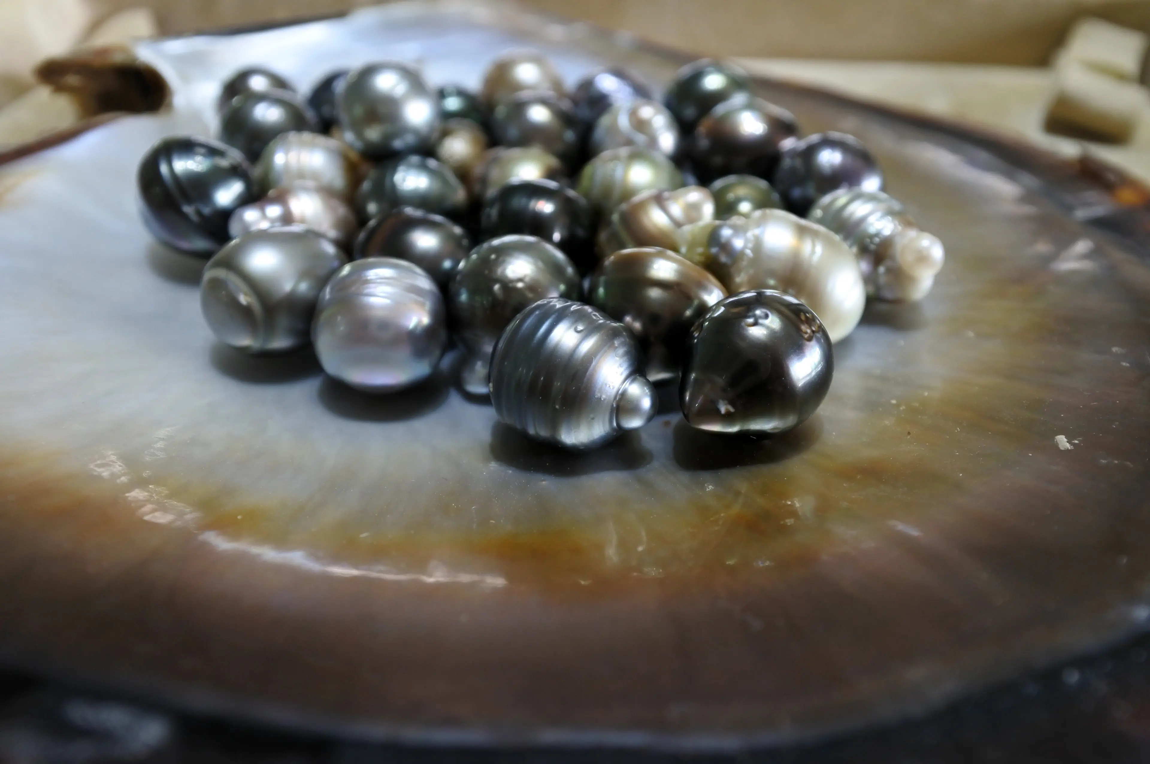 Pearl Farm