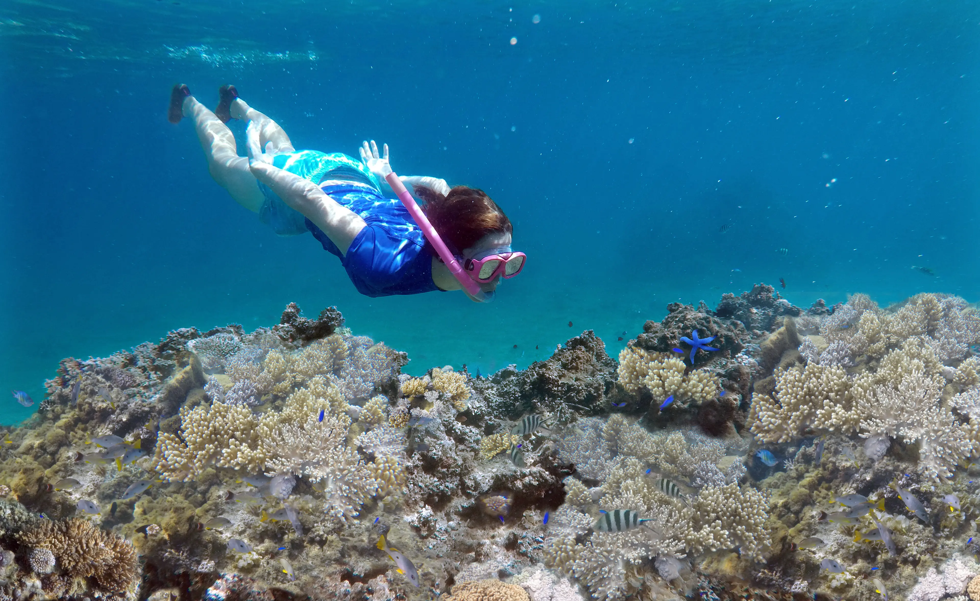Snorkeling