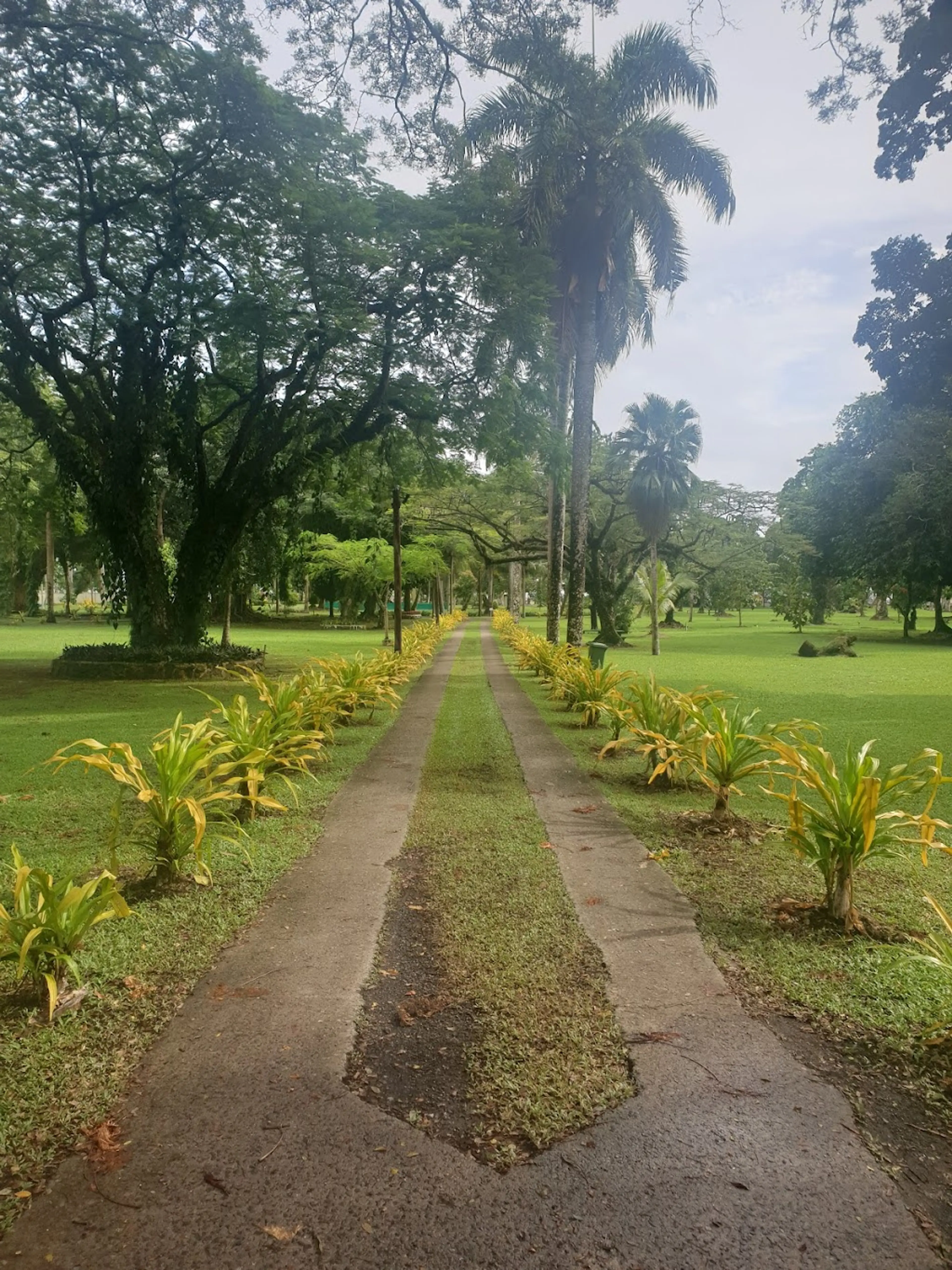 Thurston Gardens