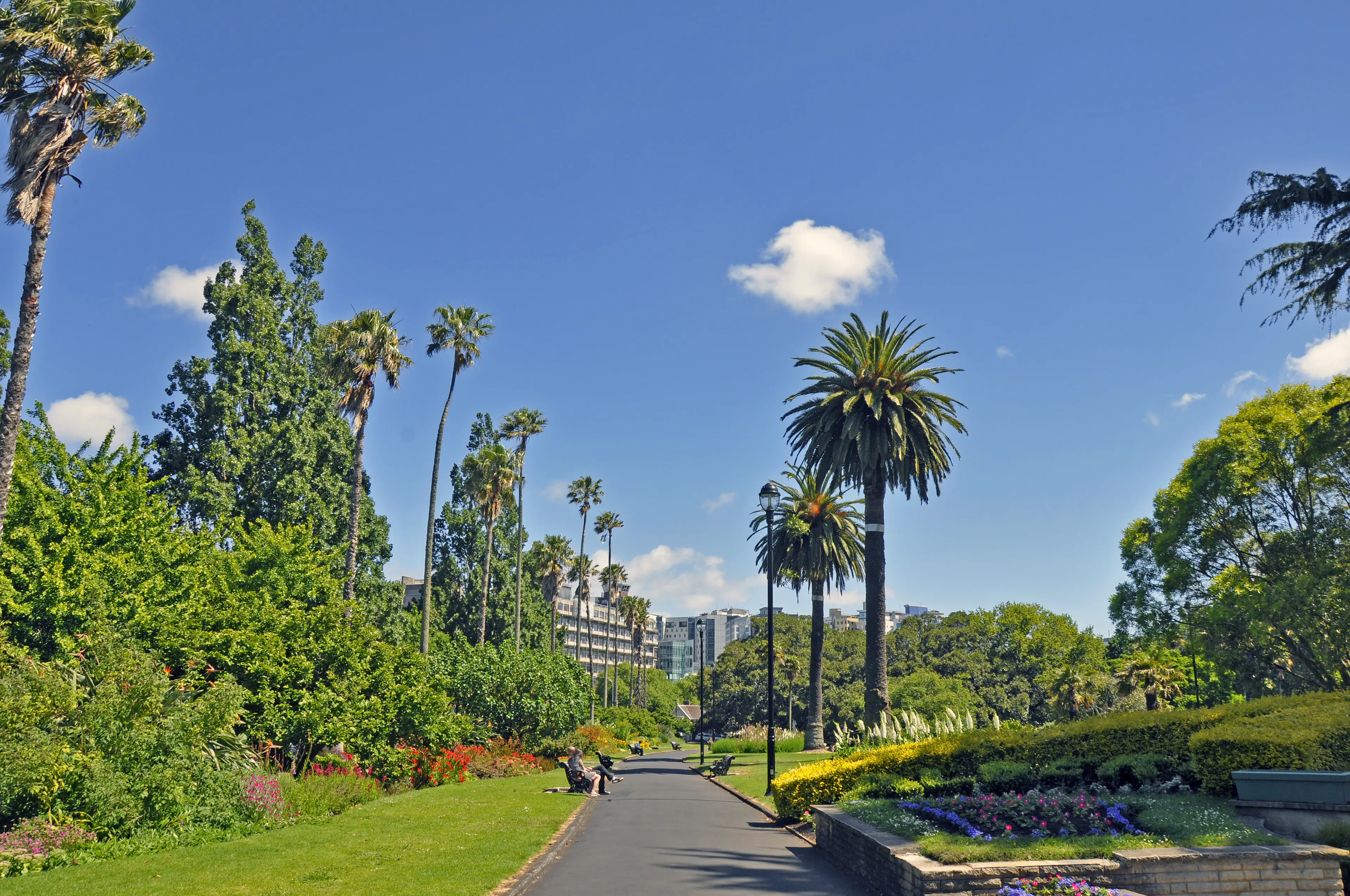 Albert Park