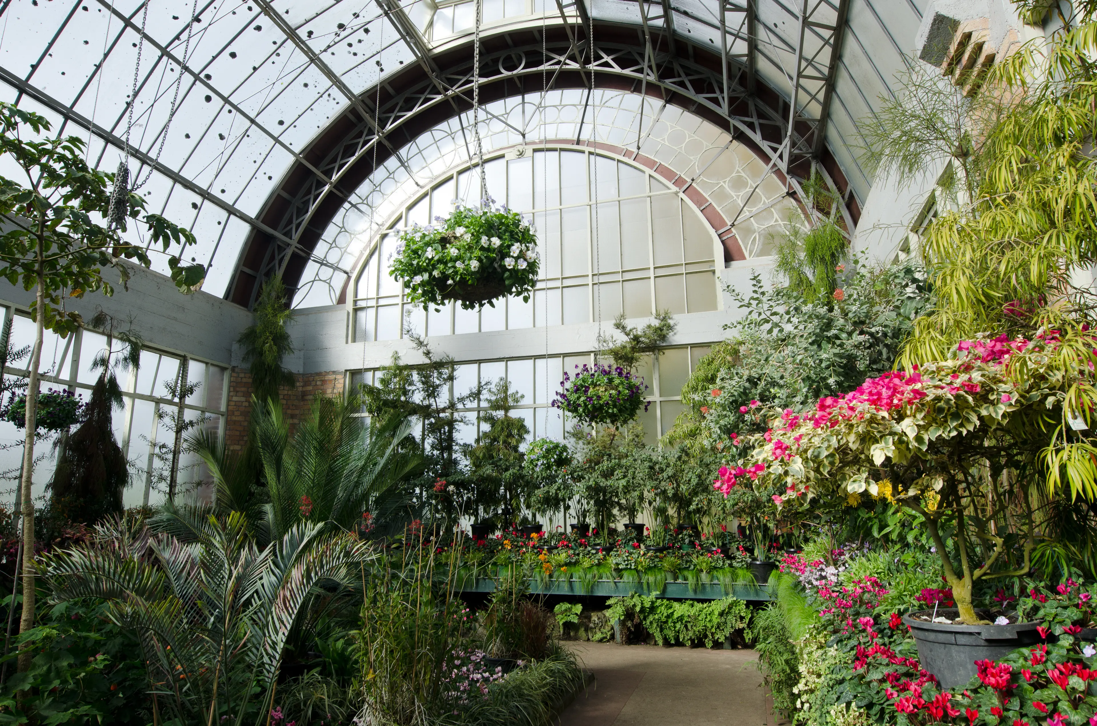 Auckland Botanic Gardens