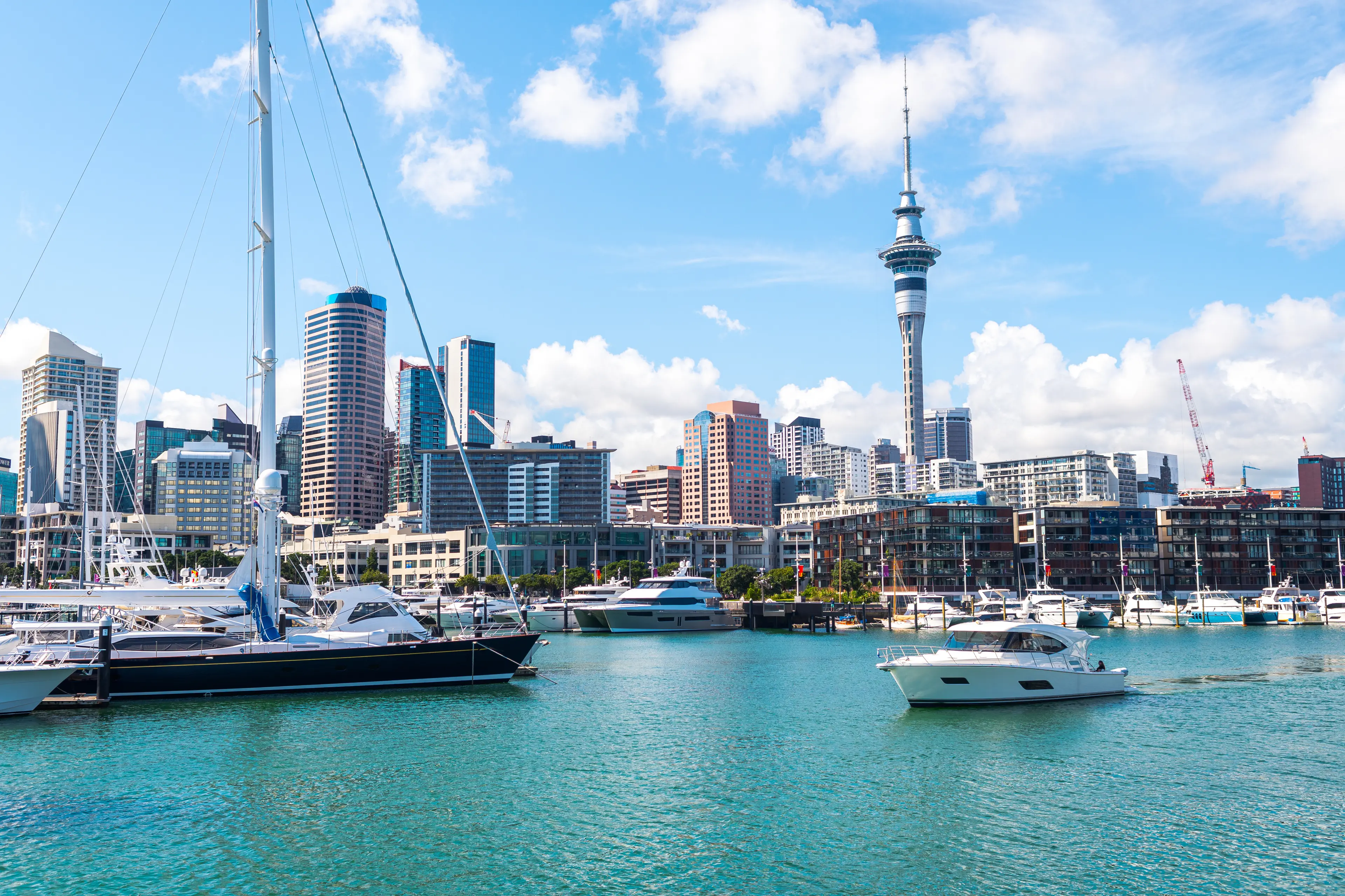 Auckland Harbour