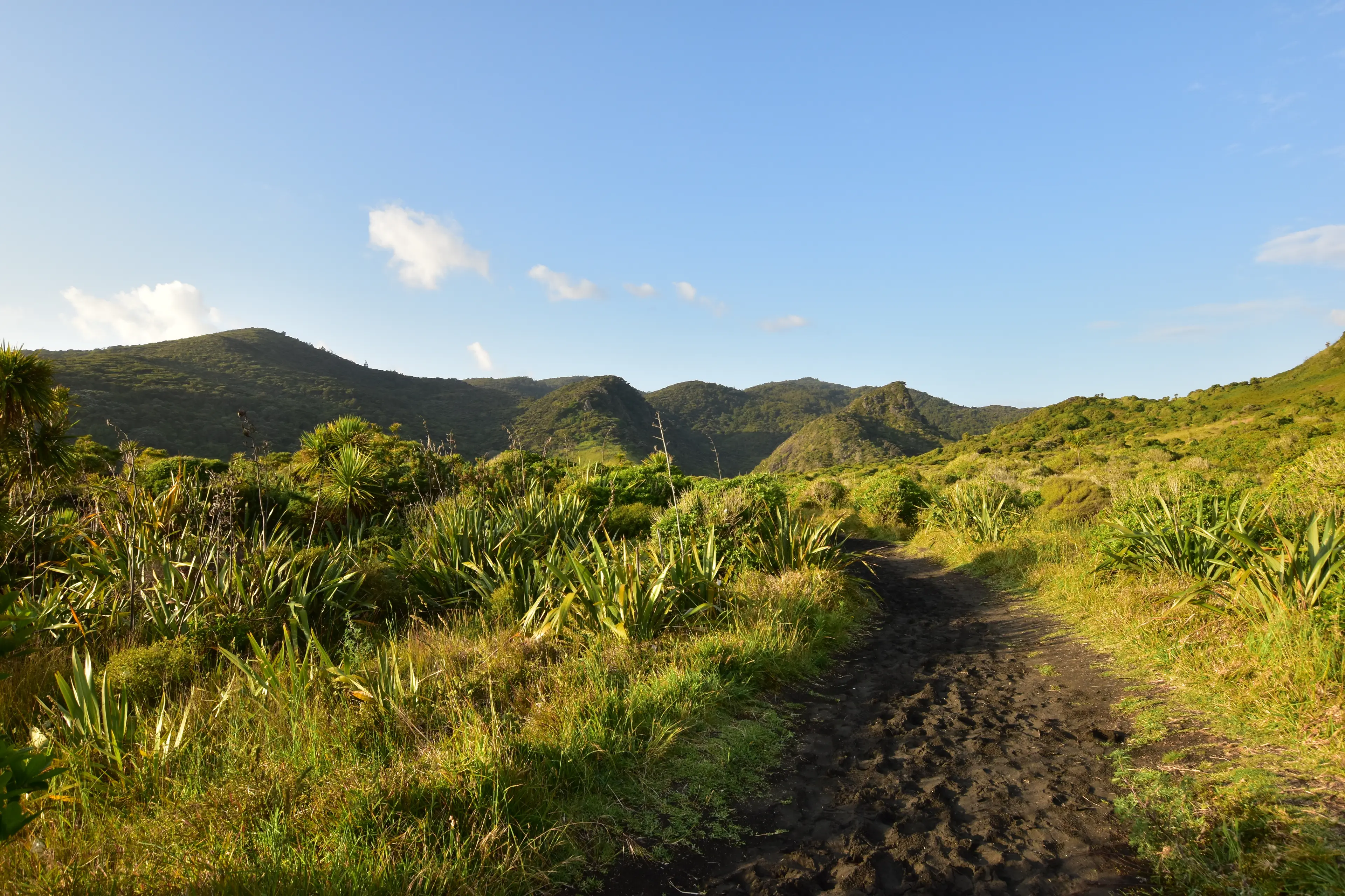 Waitakere Ranges
