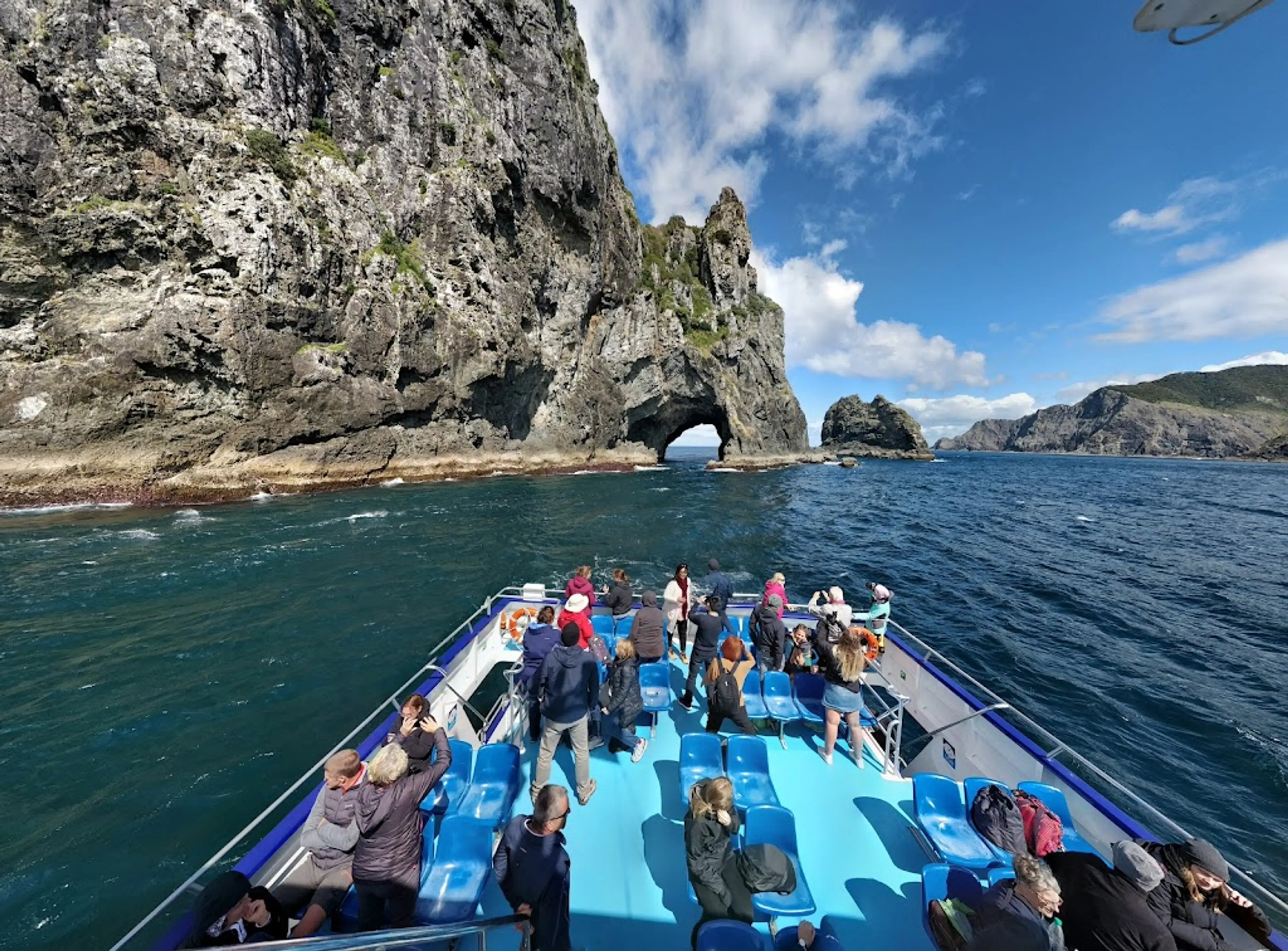 Dolphin Watching Cruise