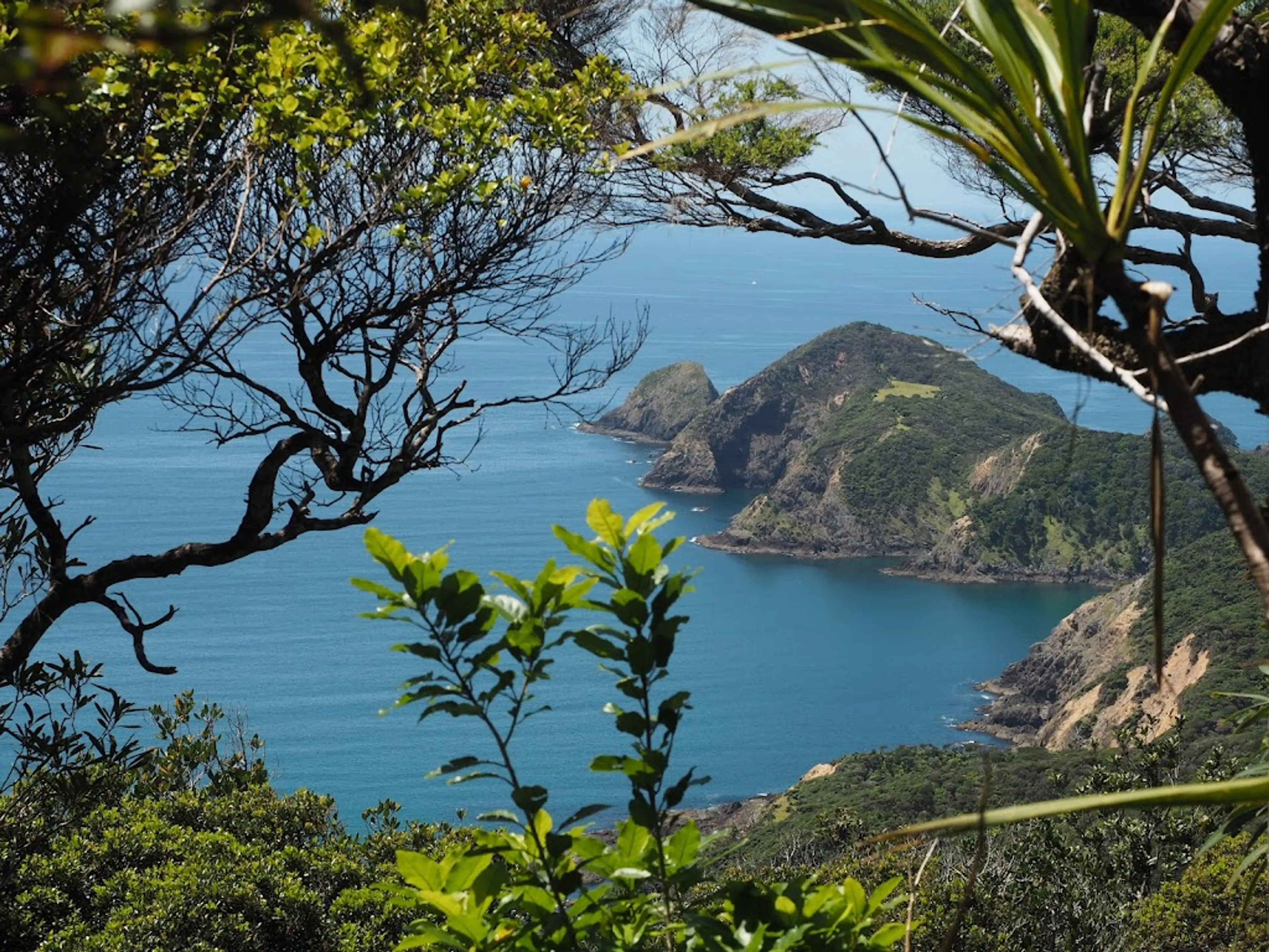 Hiking Trails