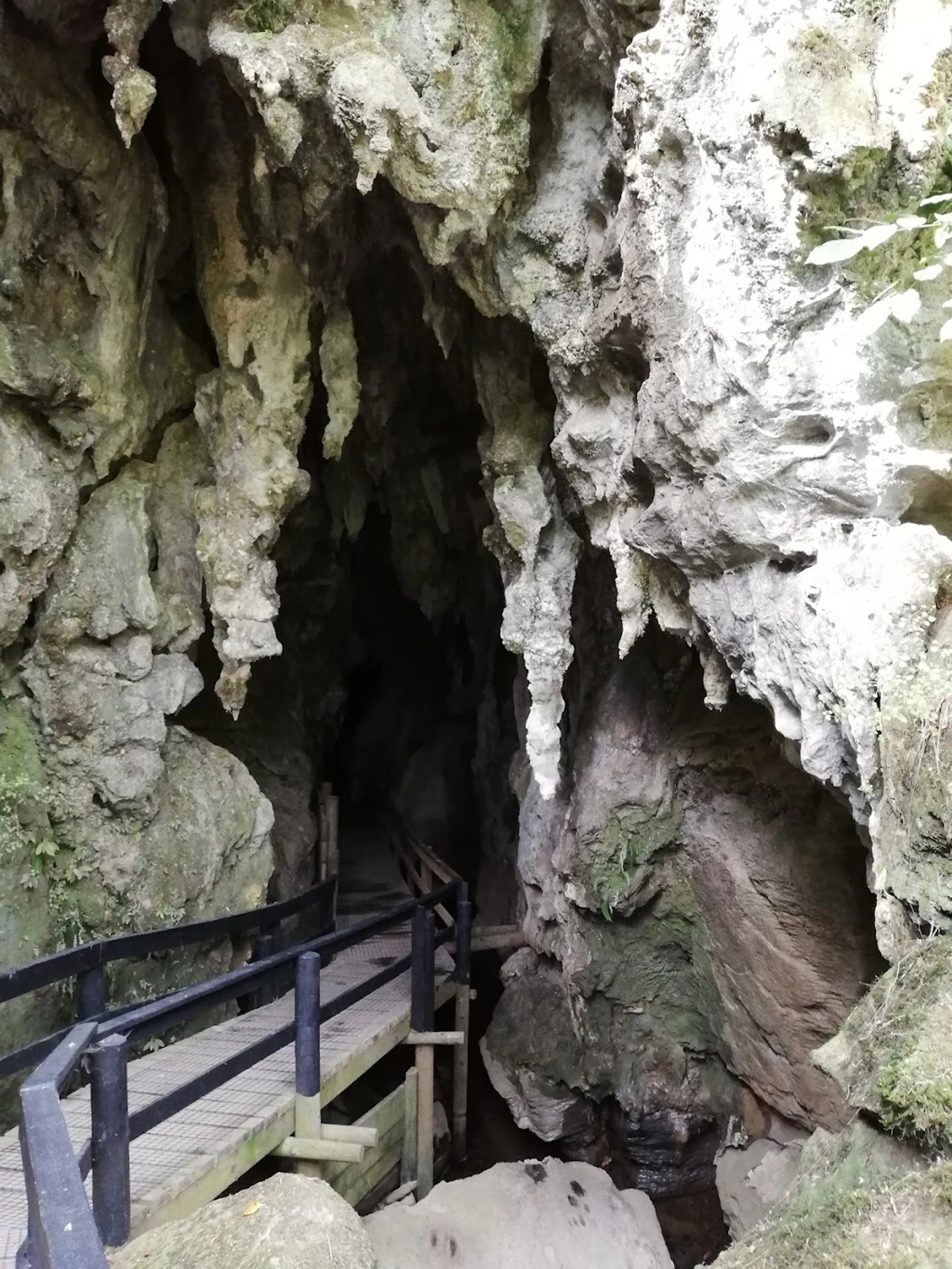 Kawiti Glowworm Caves