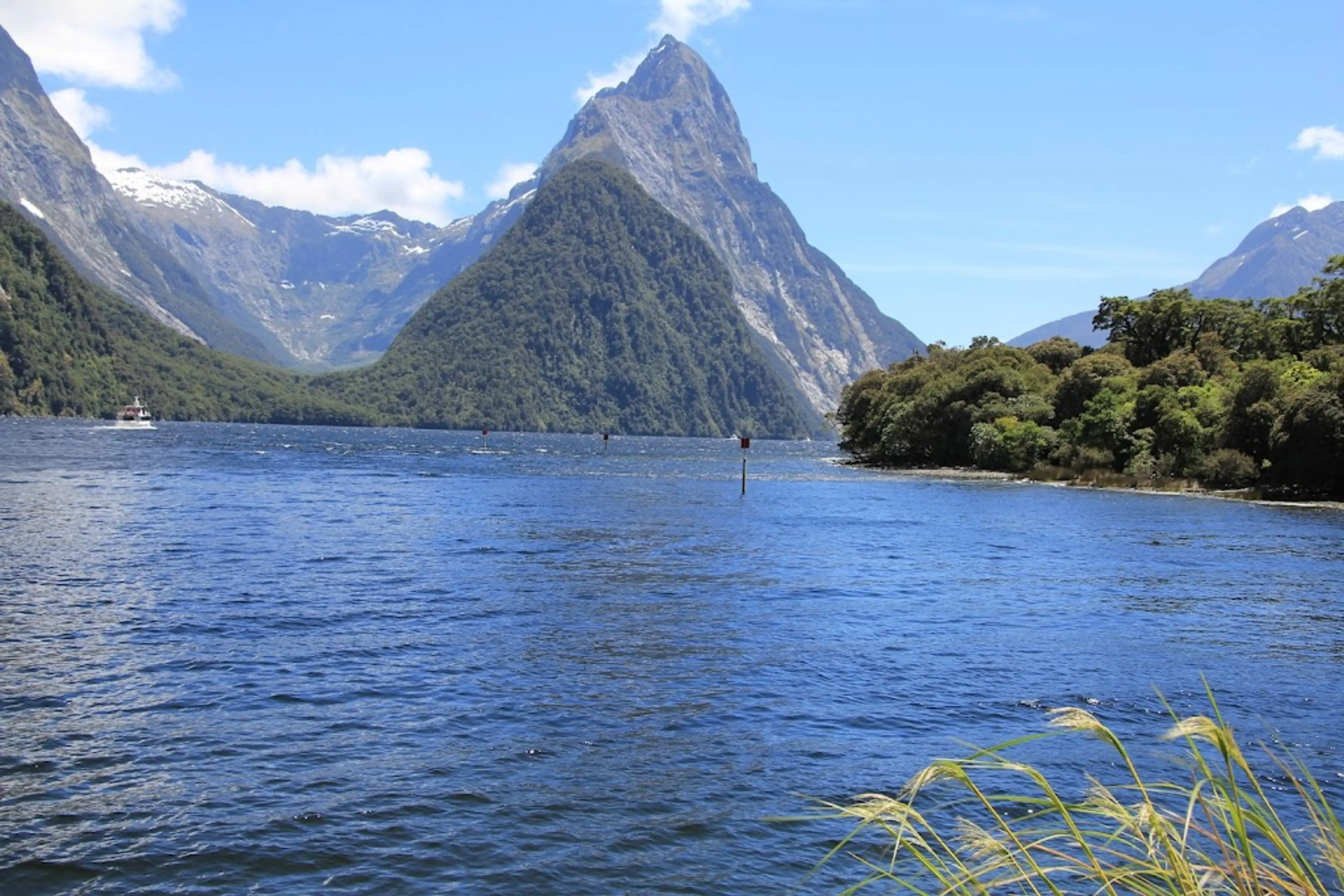 Guided night walk in Fiordland National Park
