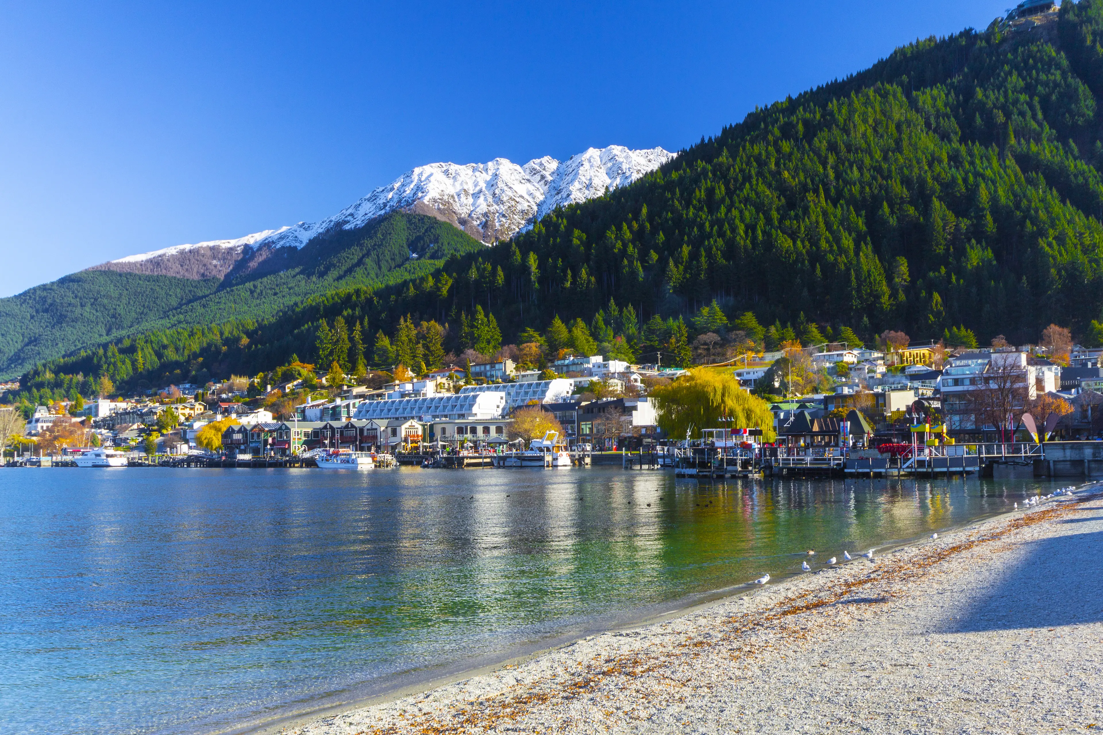 Queenstown Bay Beach