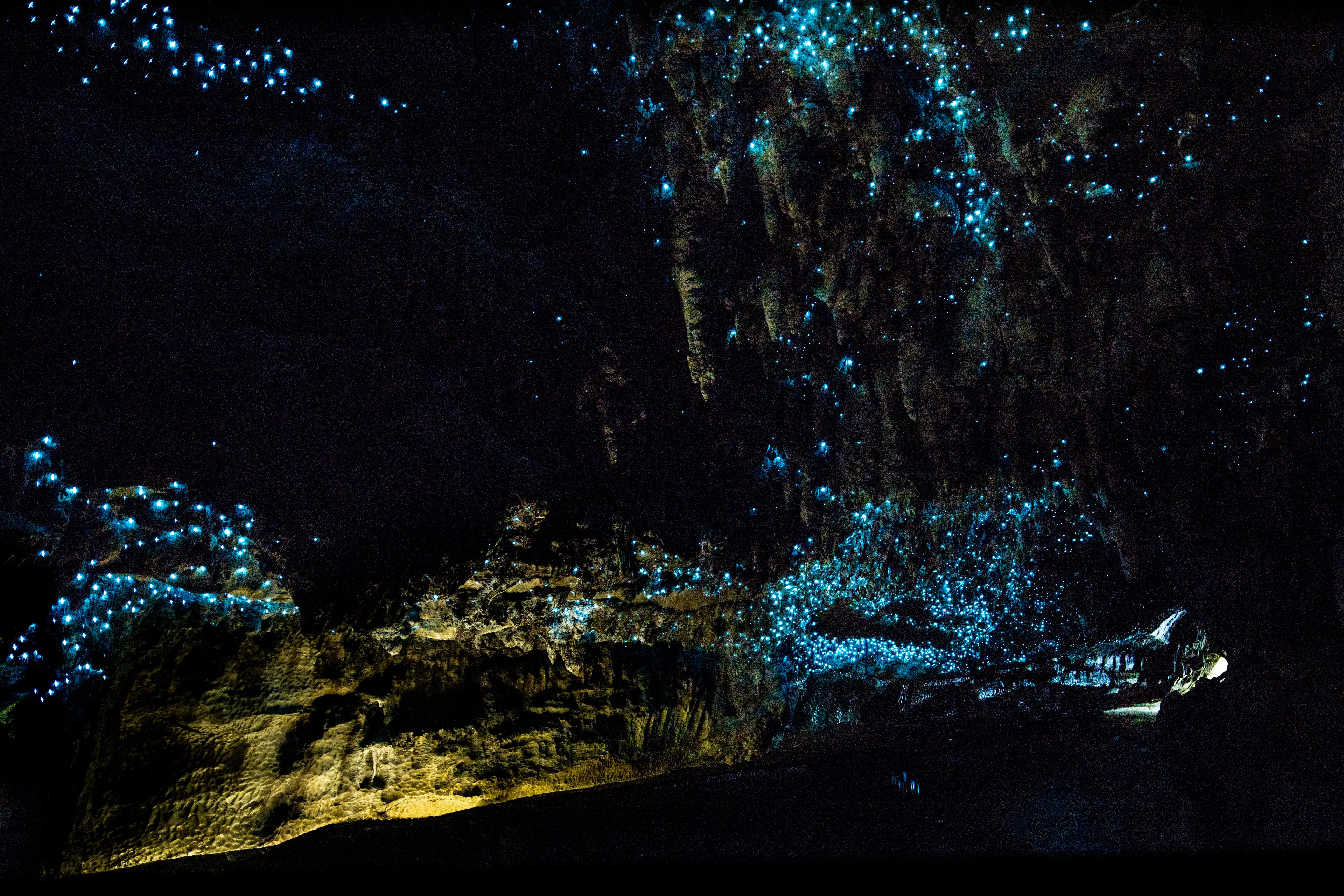 Glowworm Caves