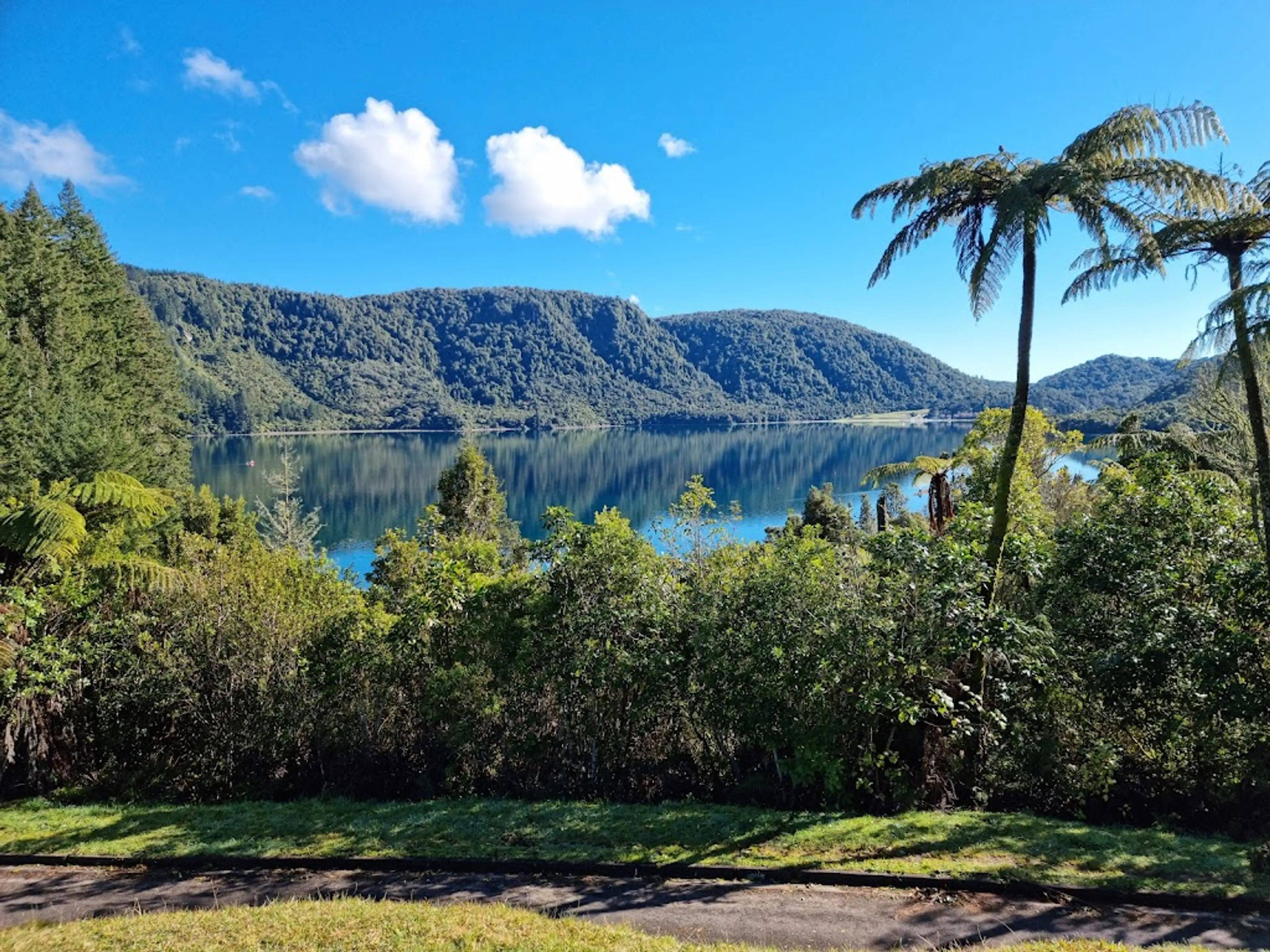 Lake Tikitapu (Blue Lake)