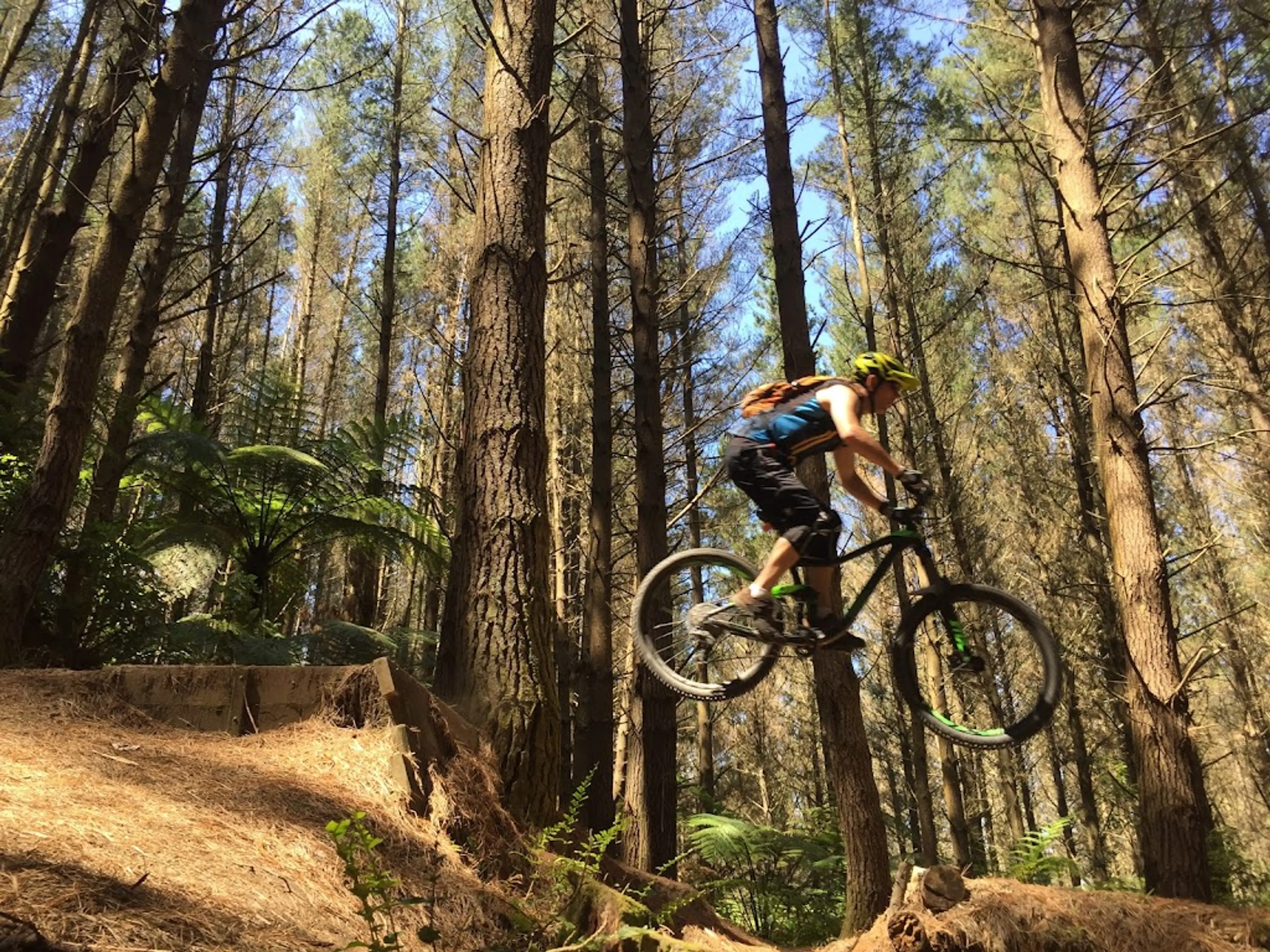 Mountain Biking in Whakarewarewa Forest