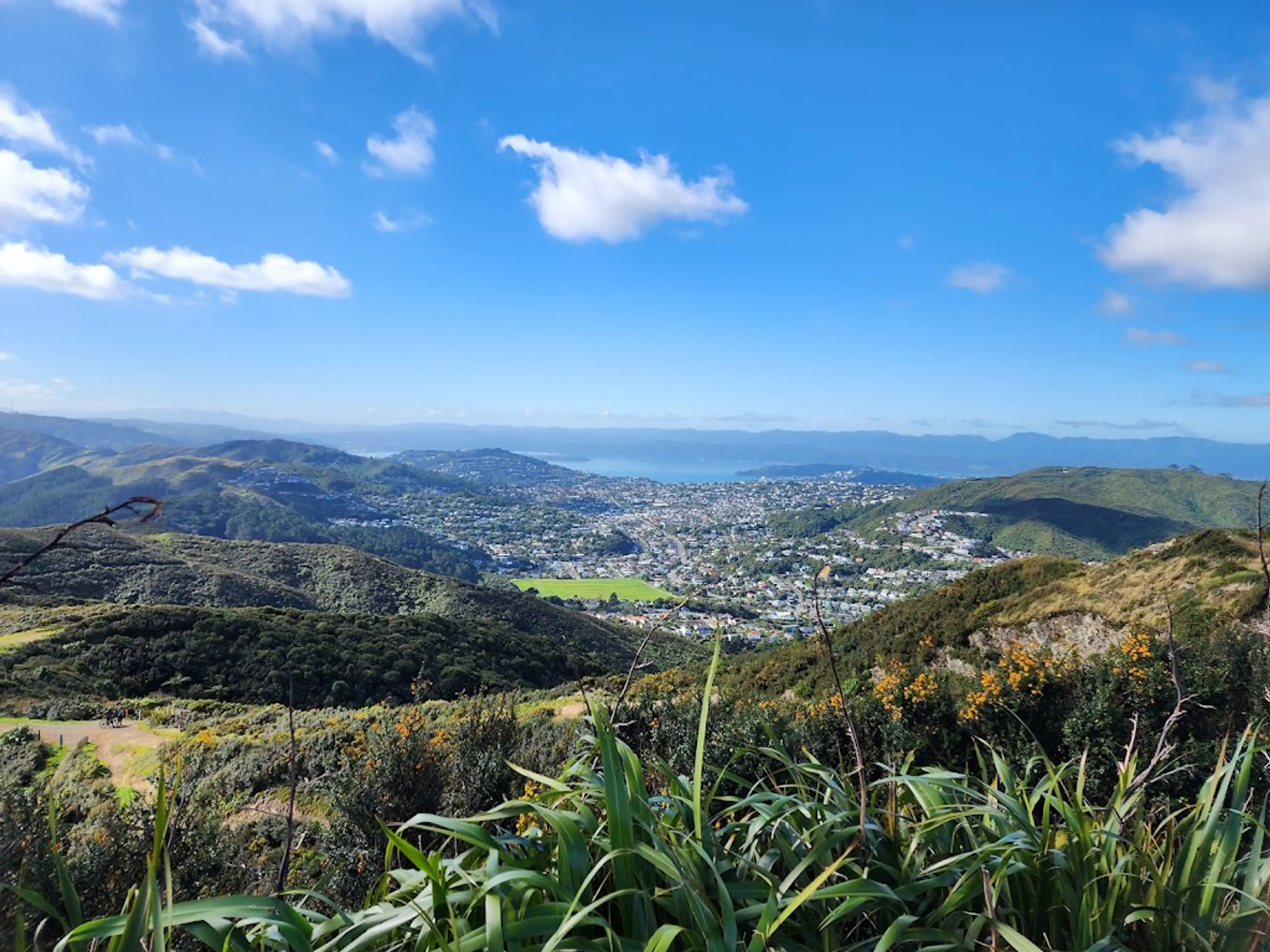 Makara Peak Mountain Bike Park