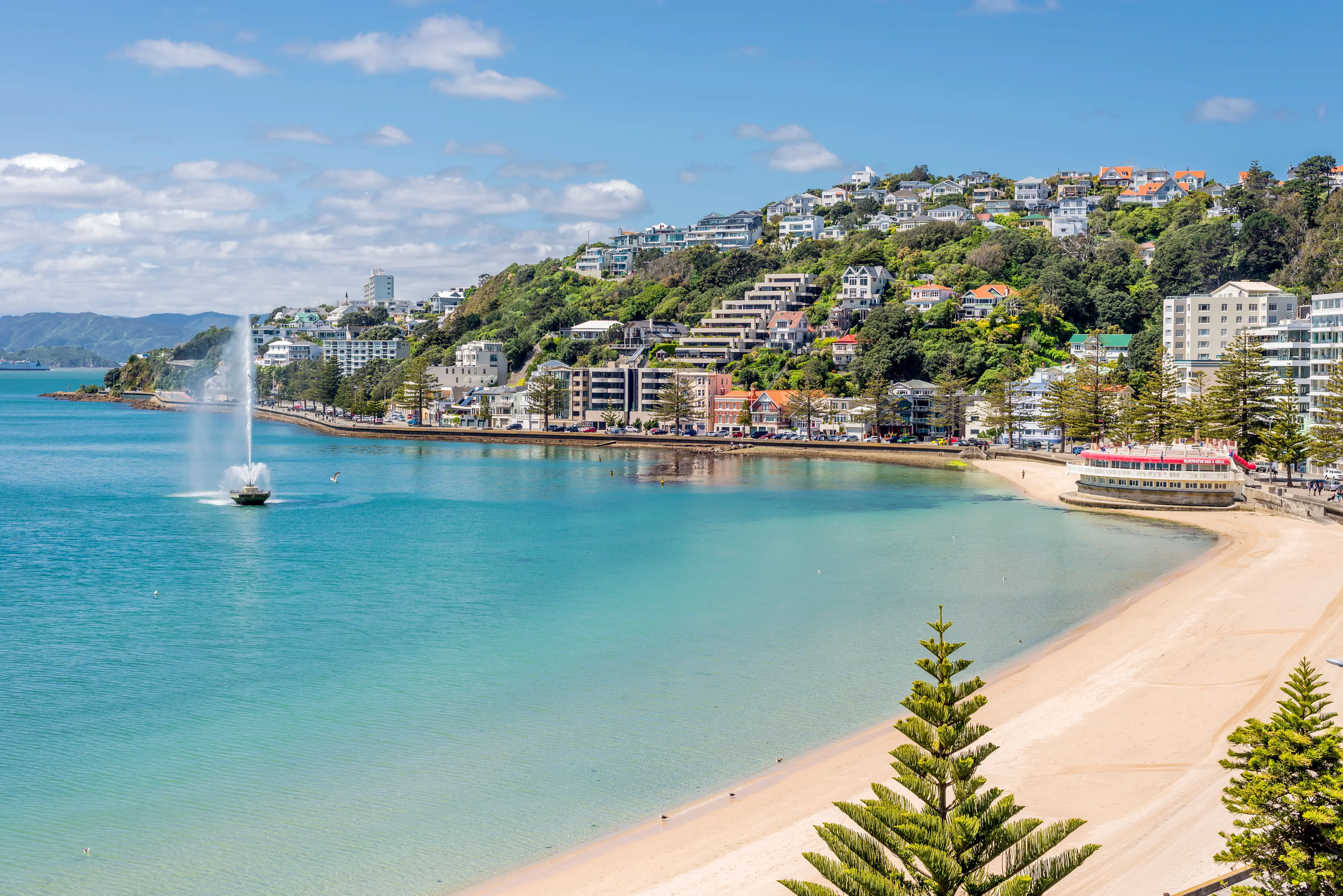 Oriental Bay