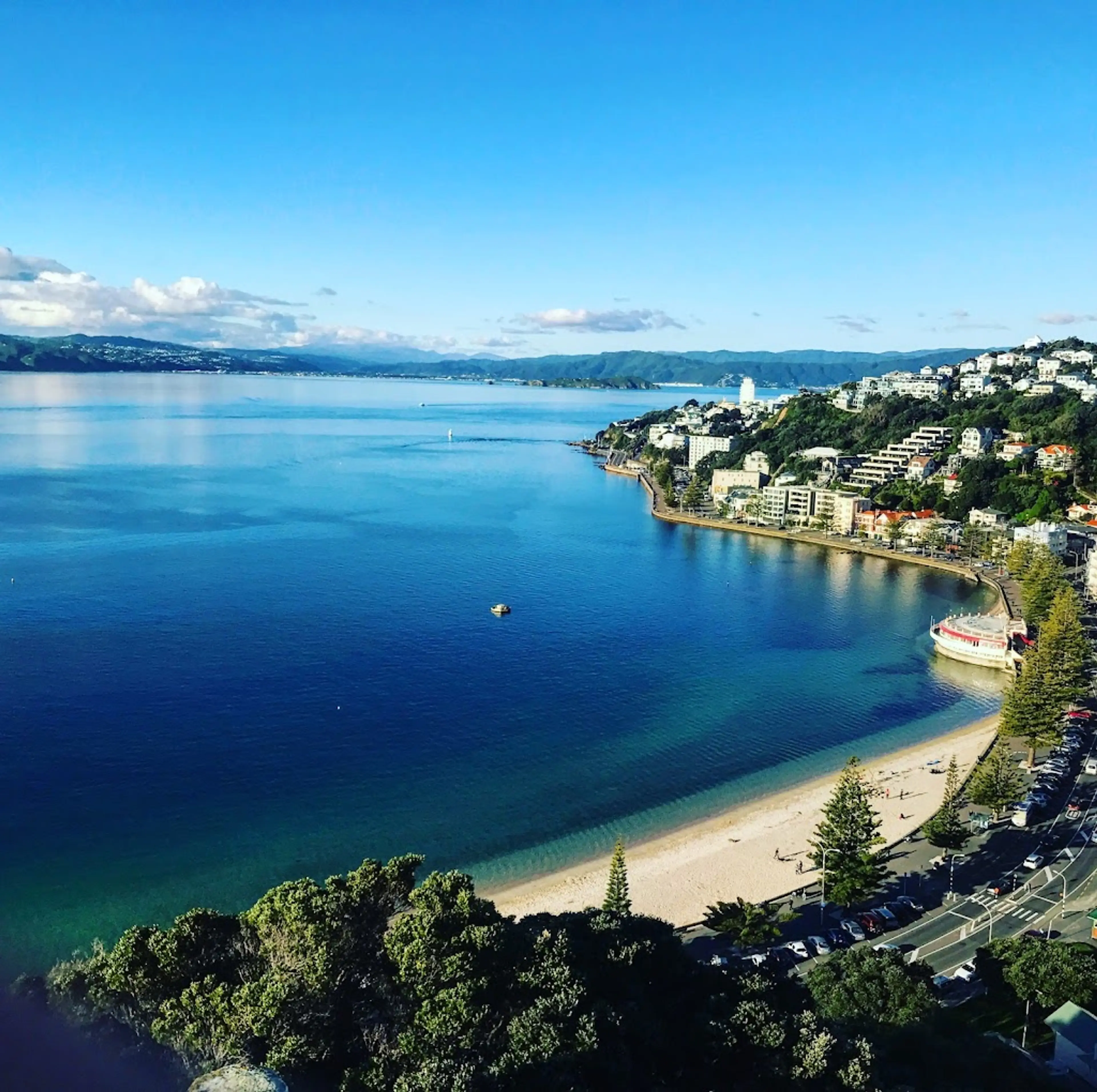 Oriental Bay Beach