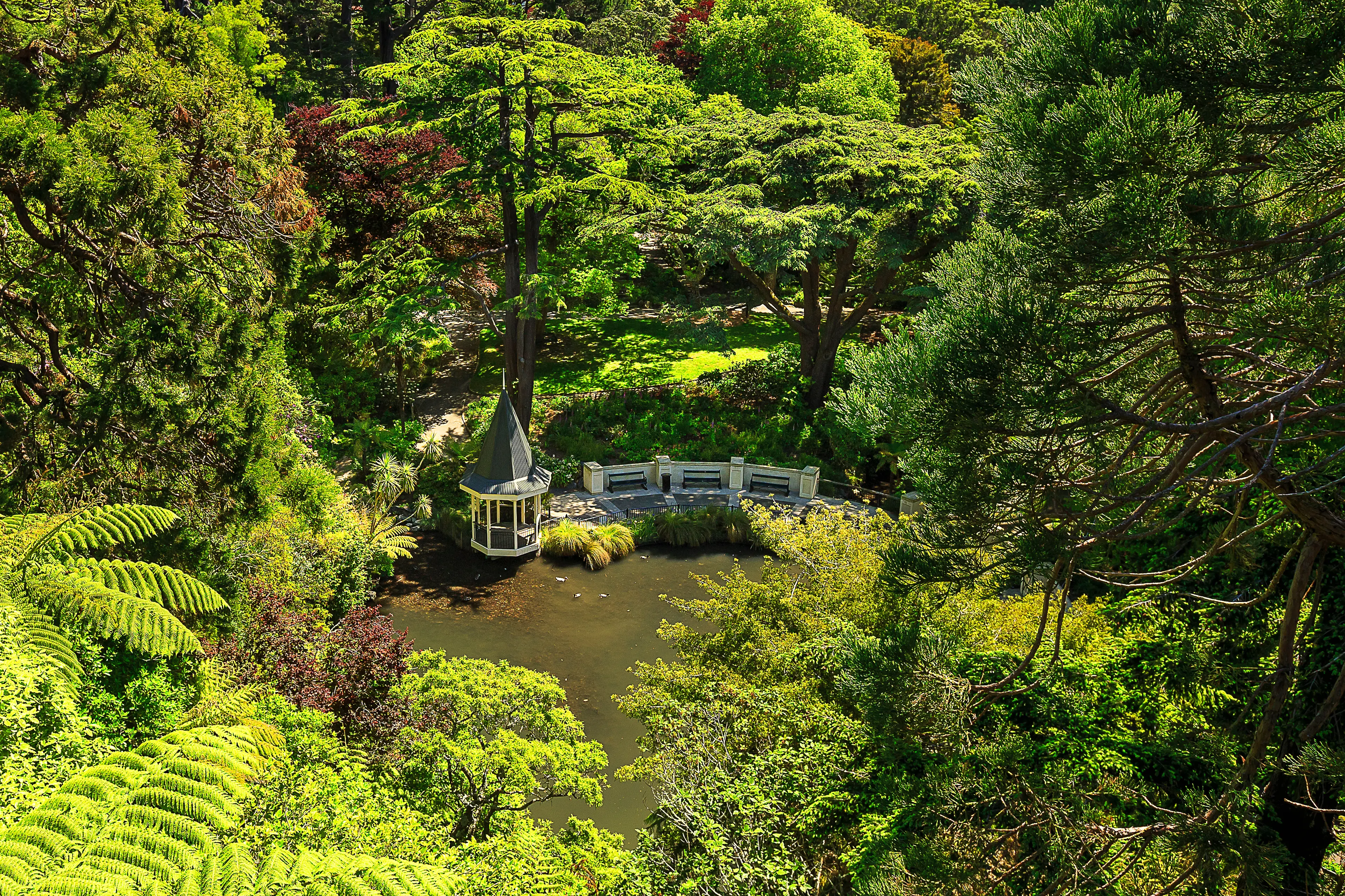 Wellington Botanic Garden