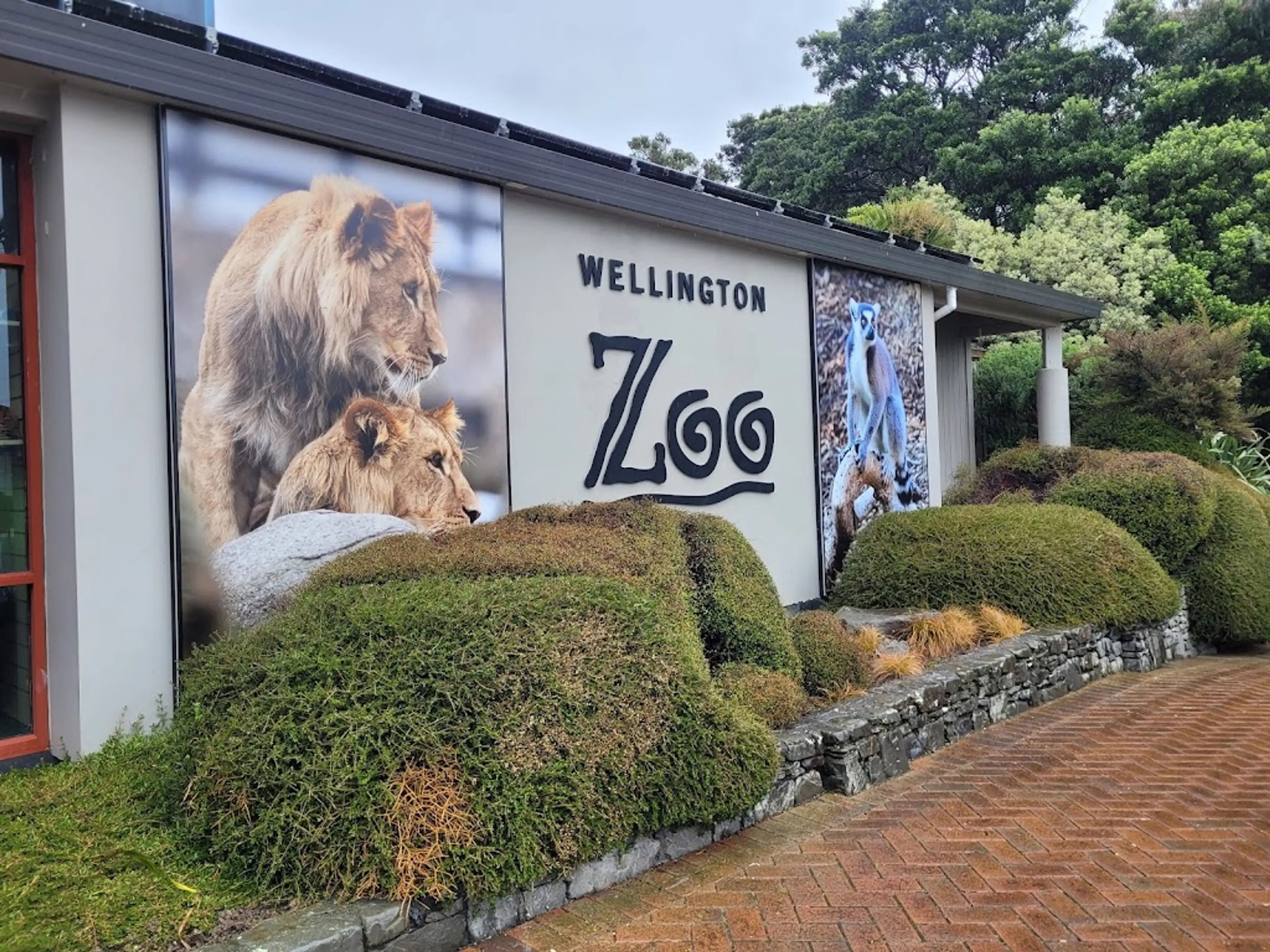 Wellington Zoo