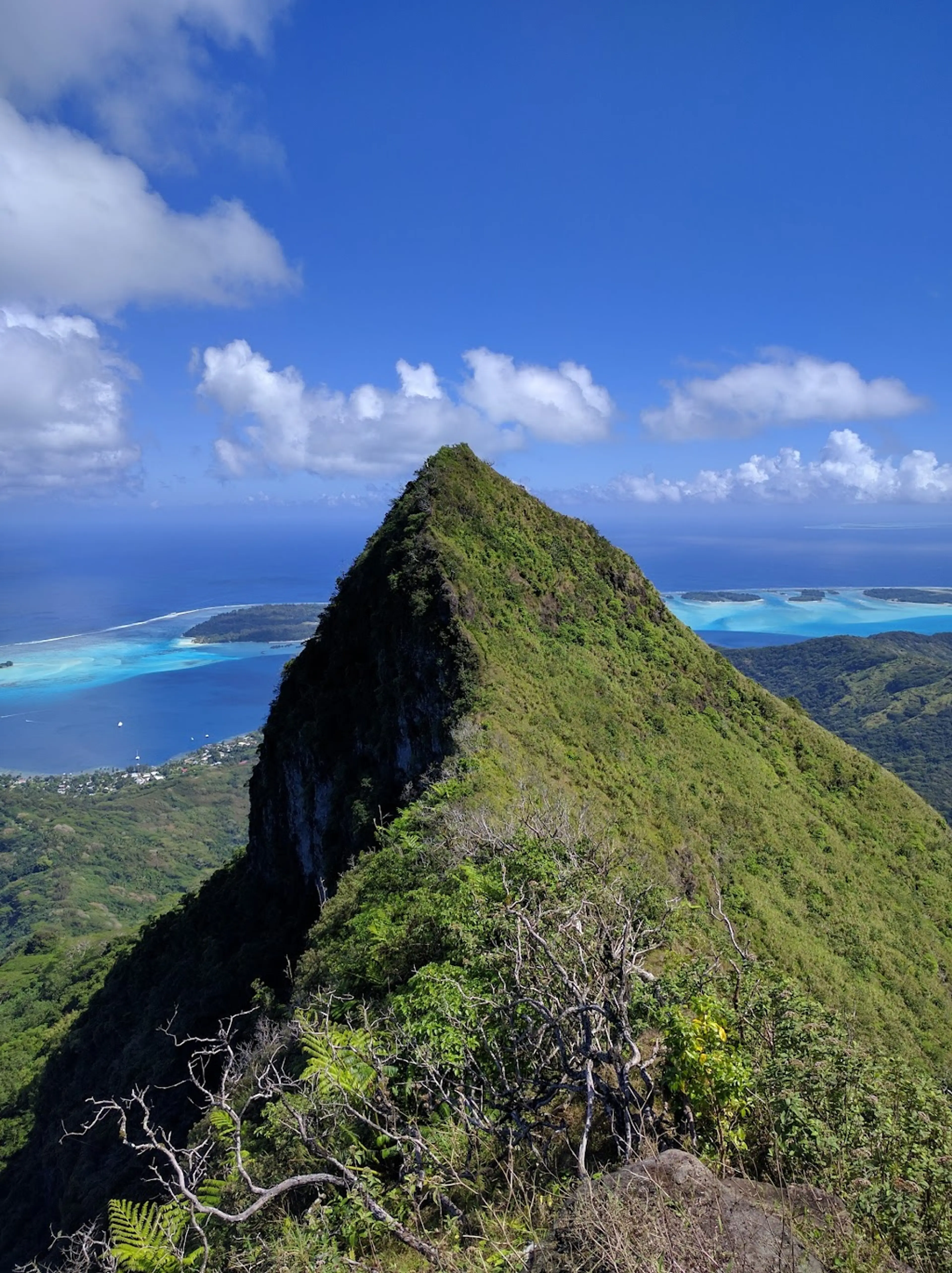 Hike up Mount Pahia