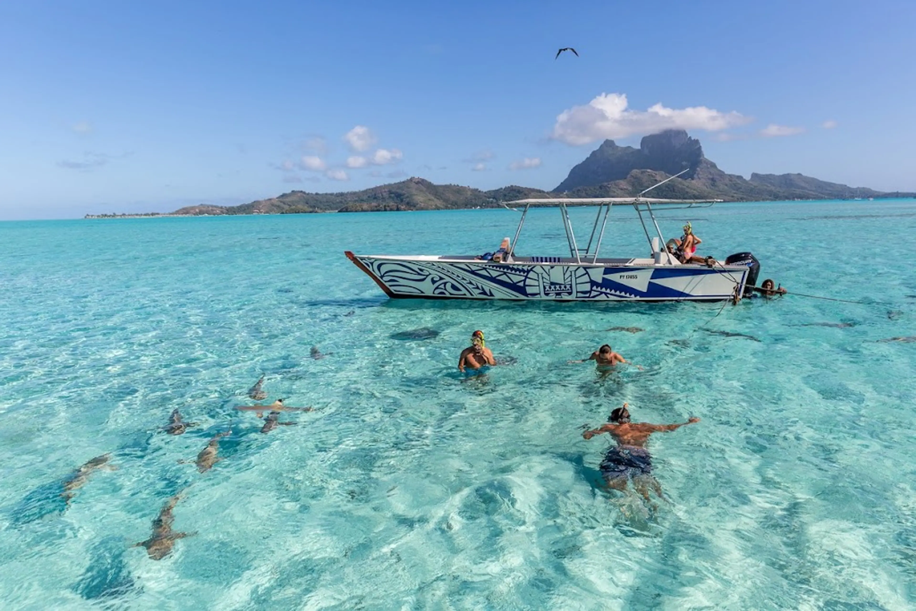 Lagoon Boat Tour