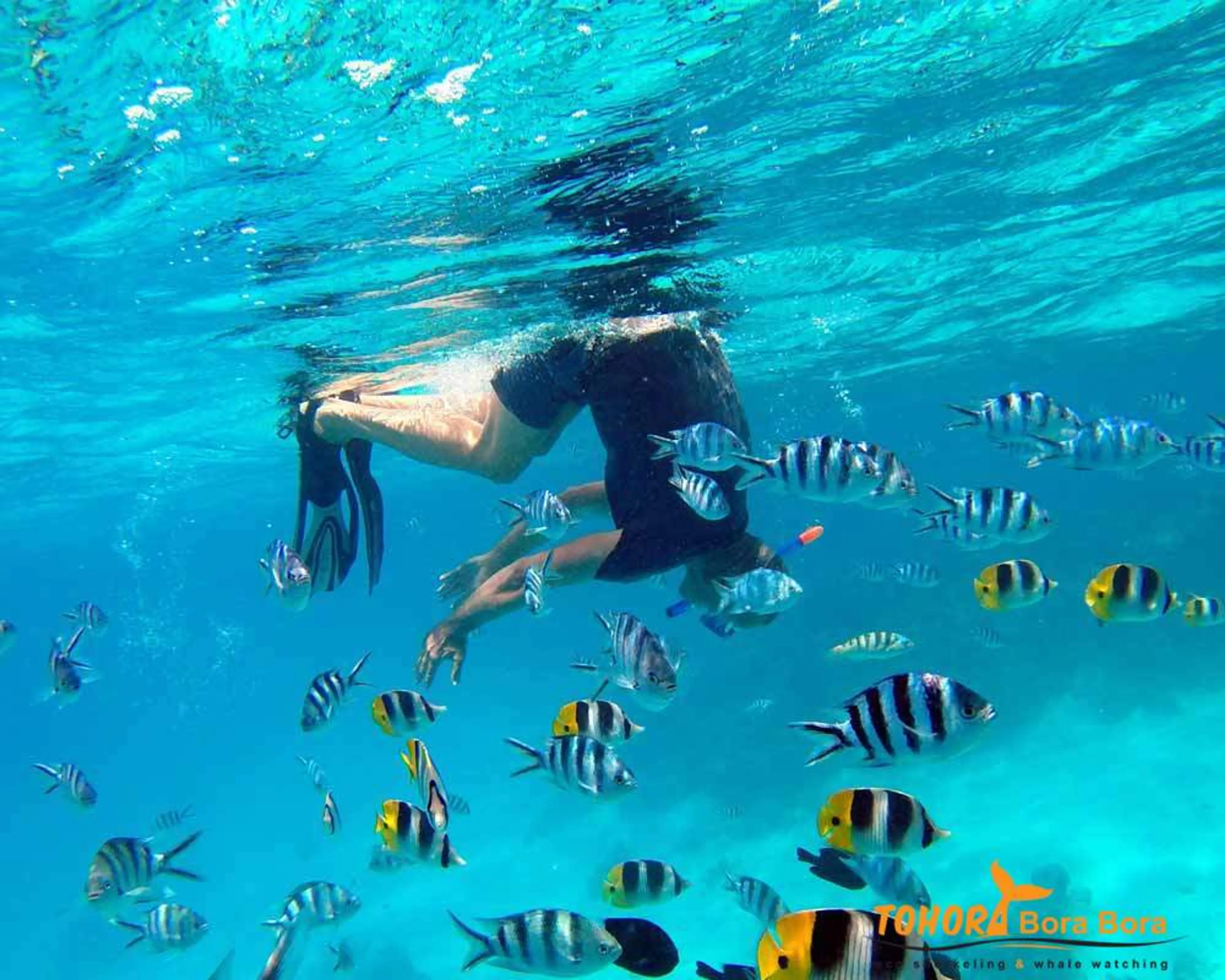 Snorkeling in the lagoon