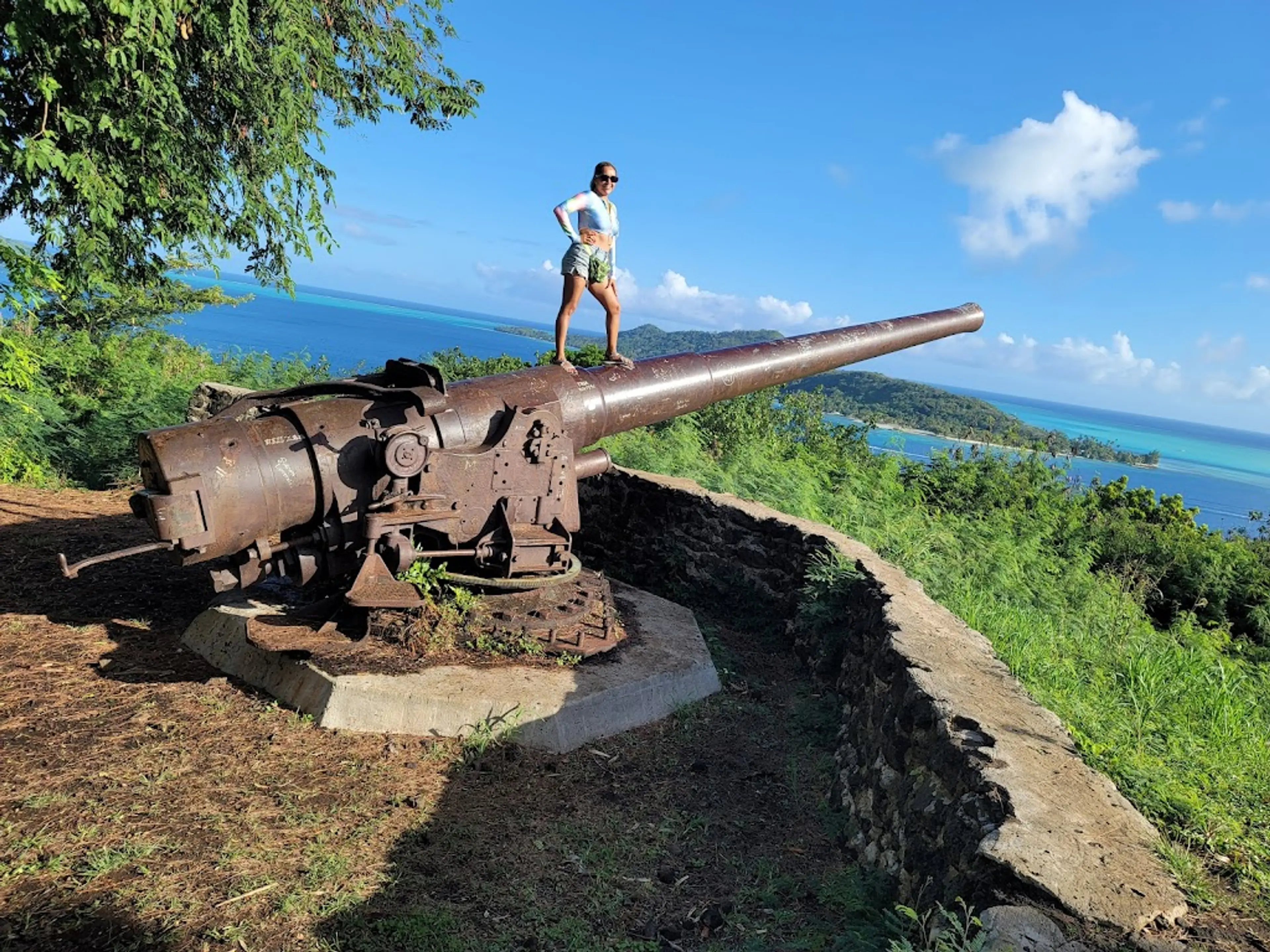 World War II cannons