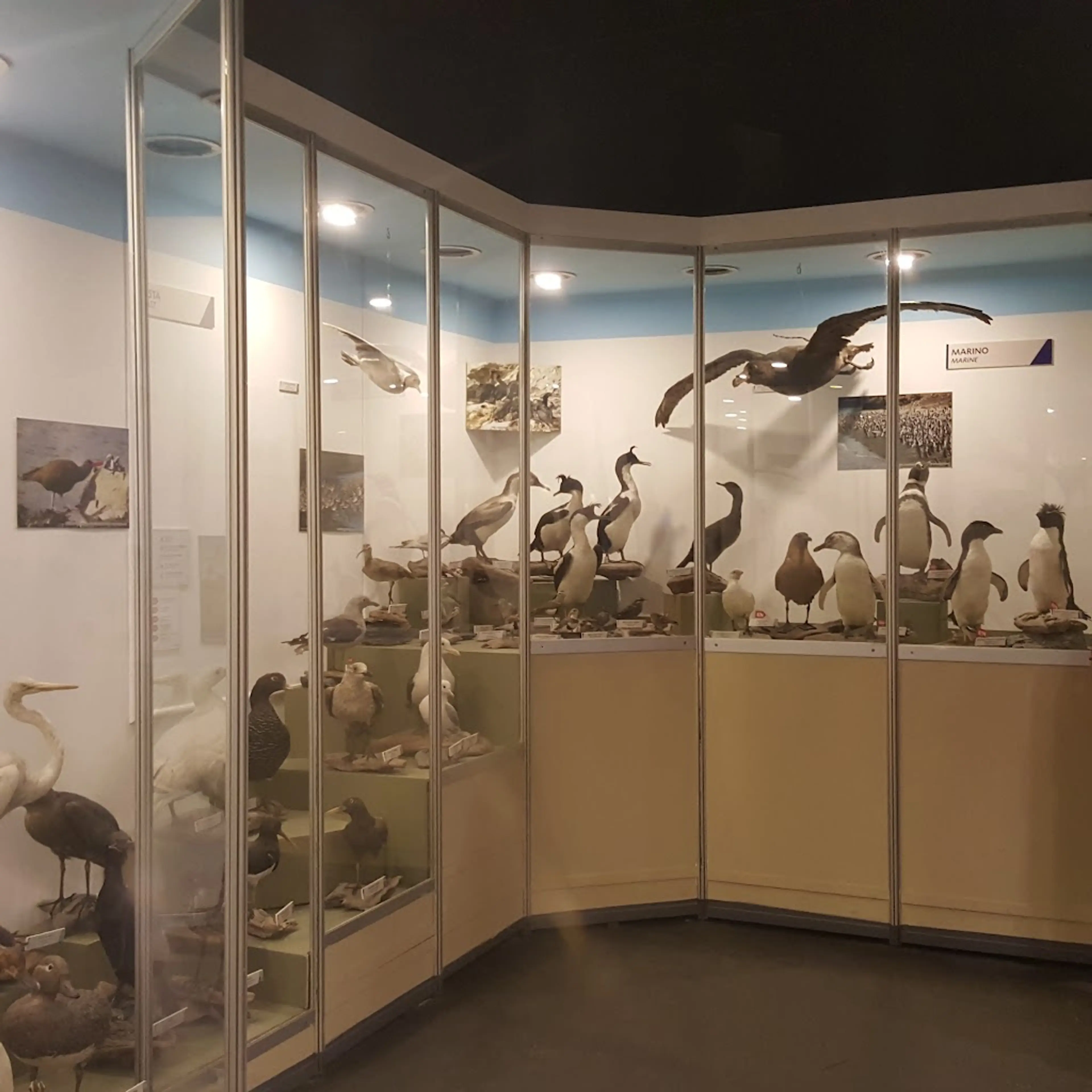 End of the World Museum