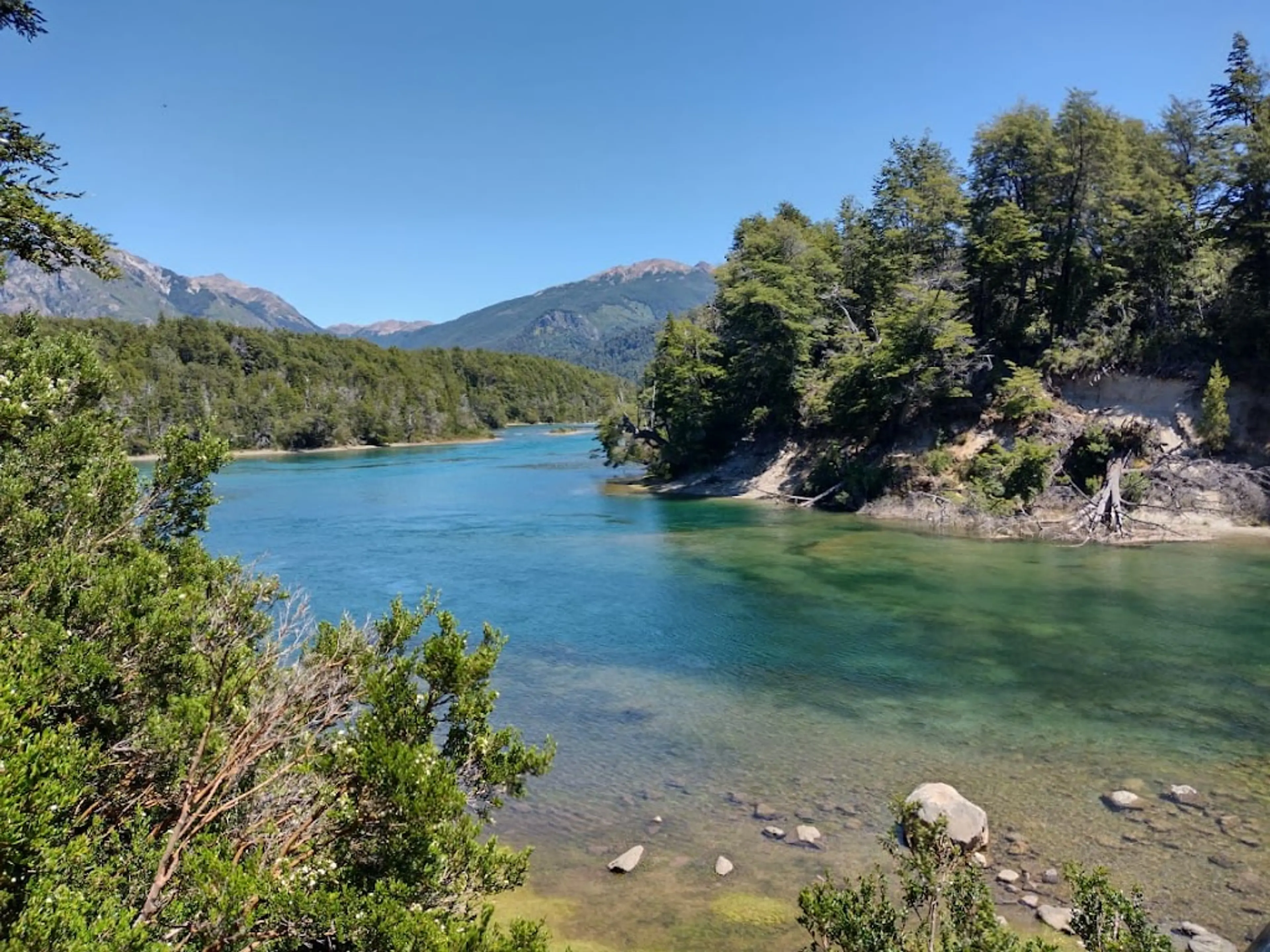 Los Alerces National Park
