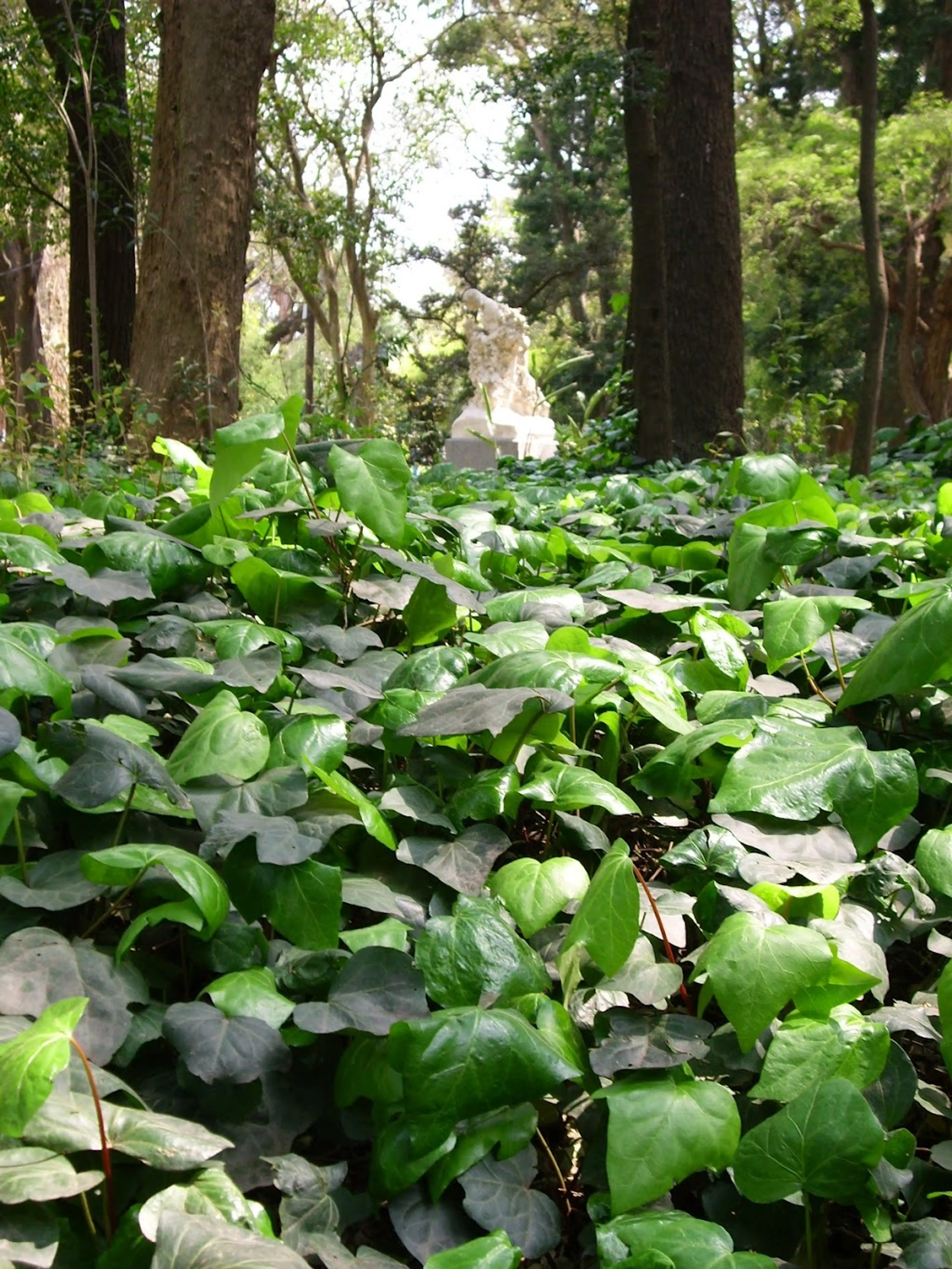 Buenos Aires Botanical Garden