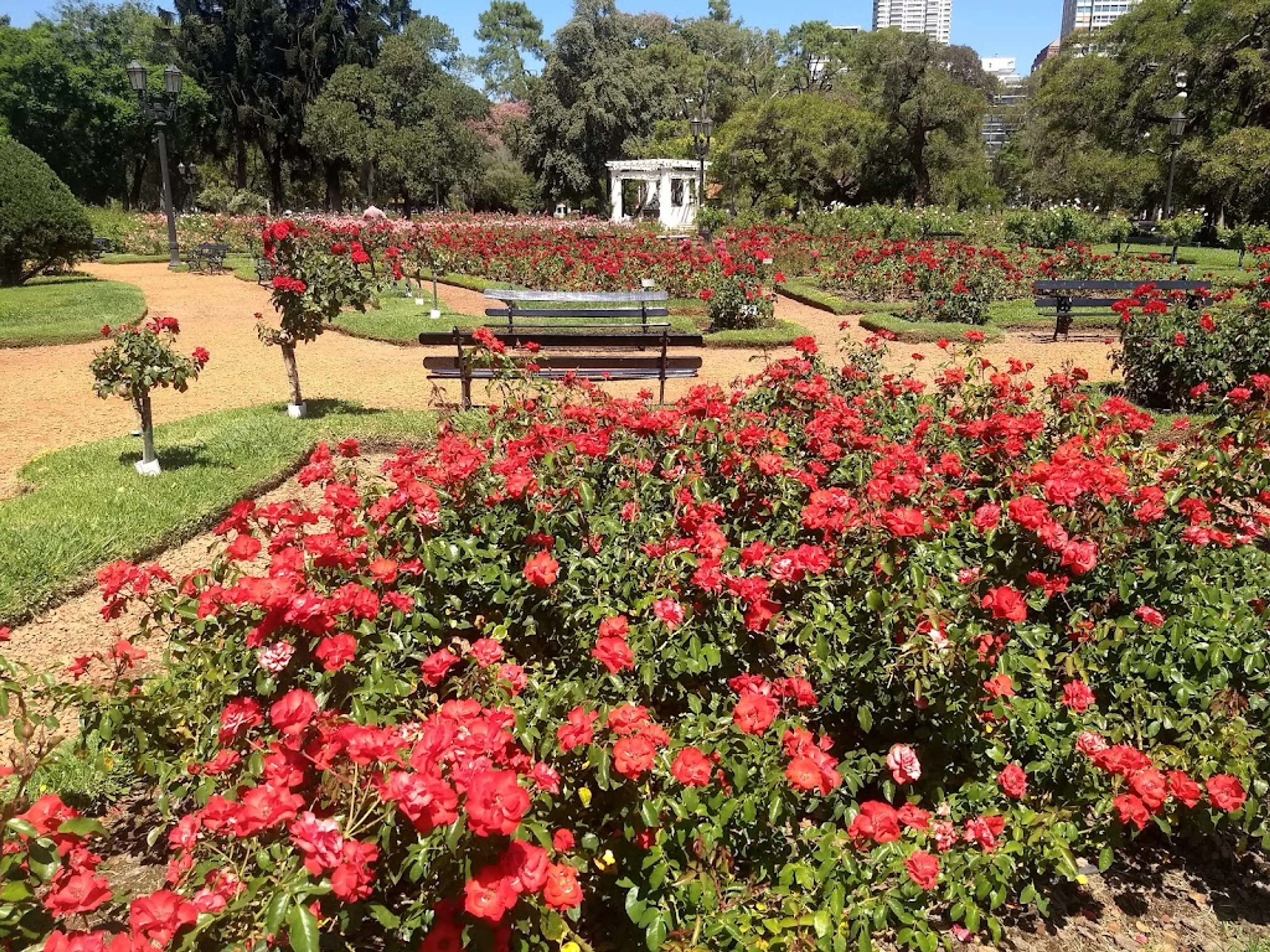 Rose Garden