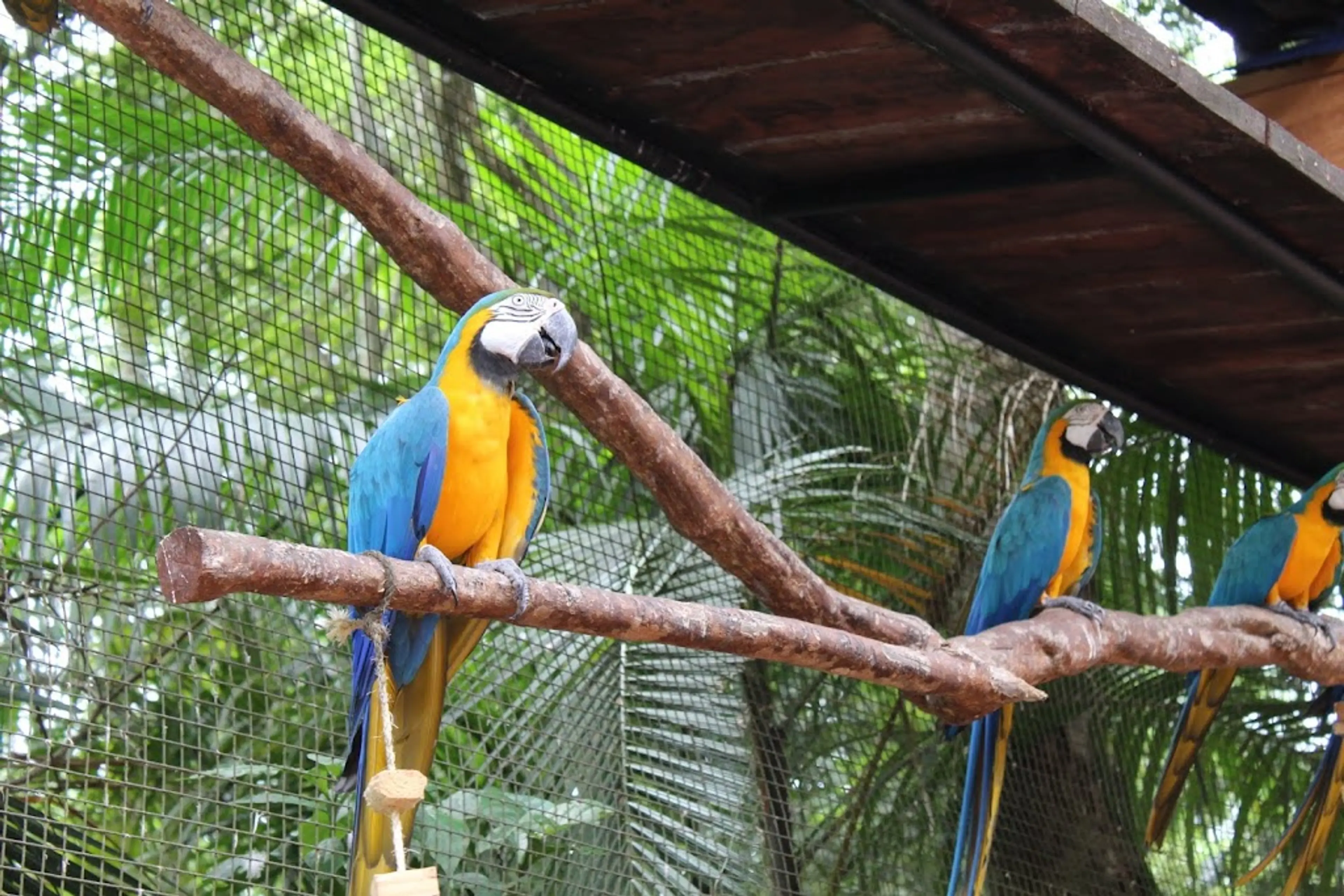 Bird Park