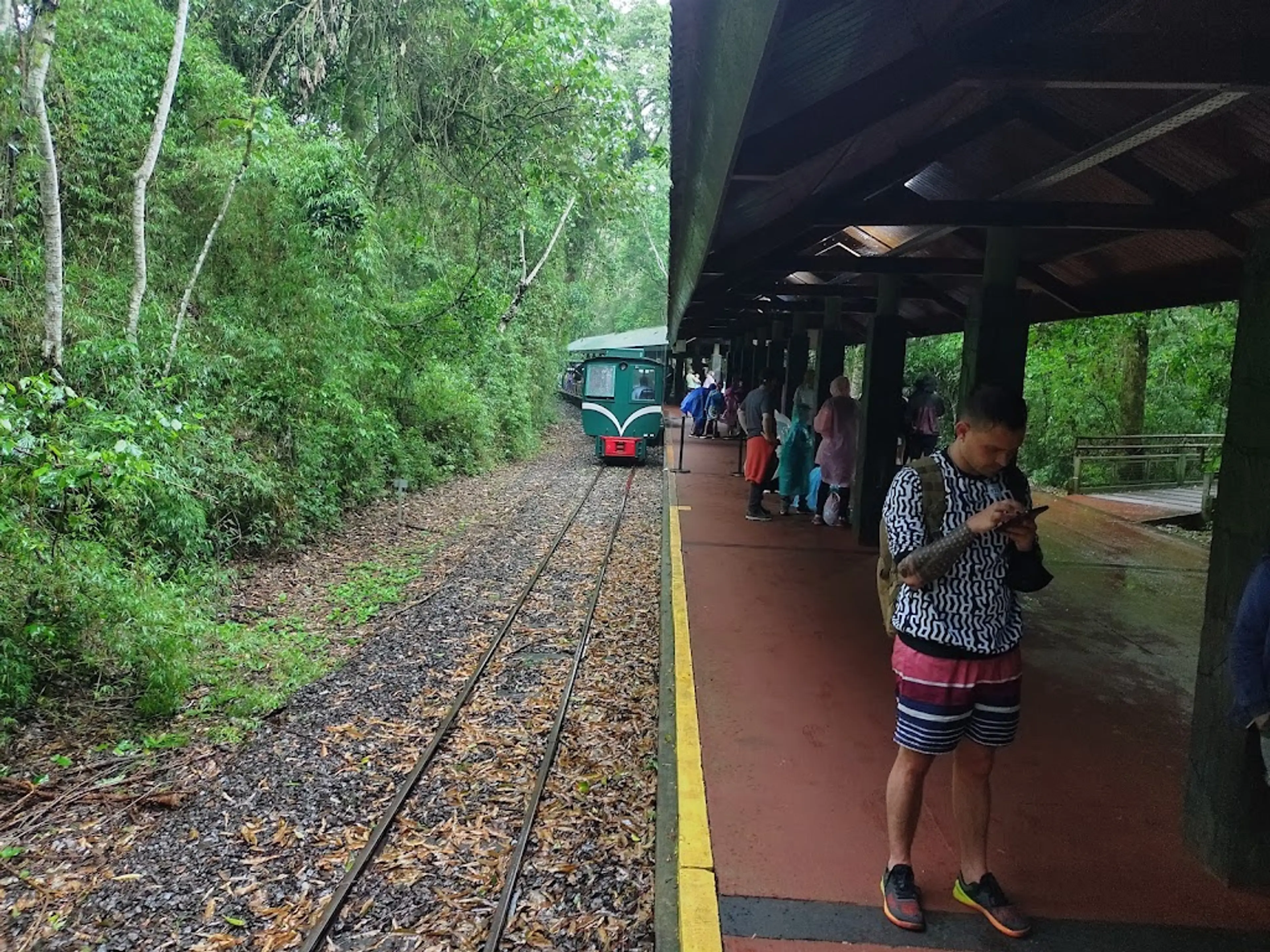 Ecological train