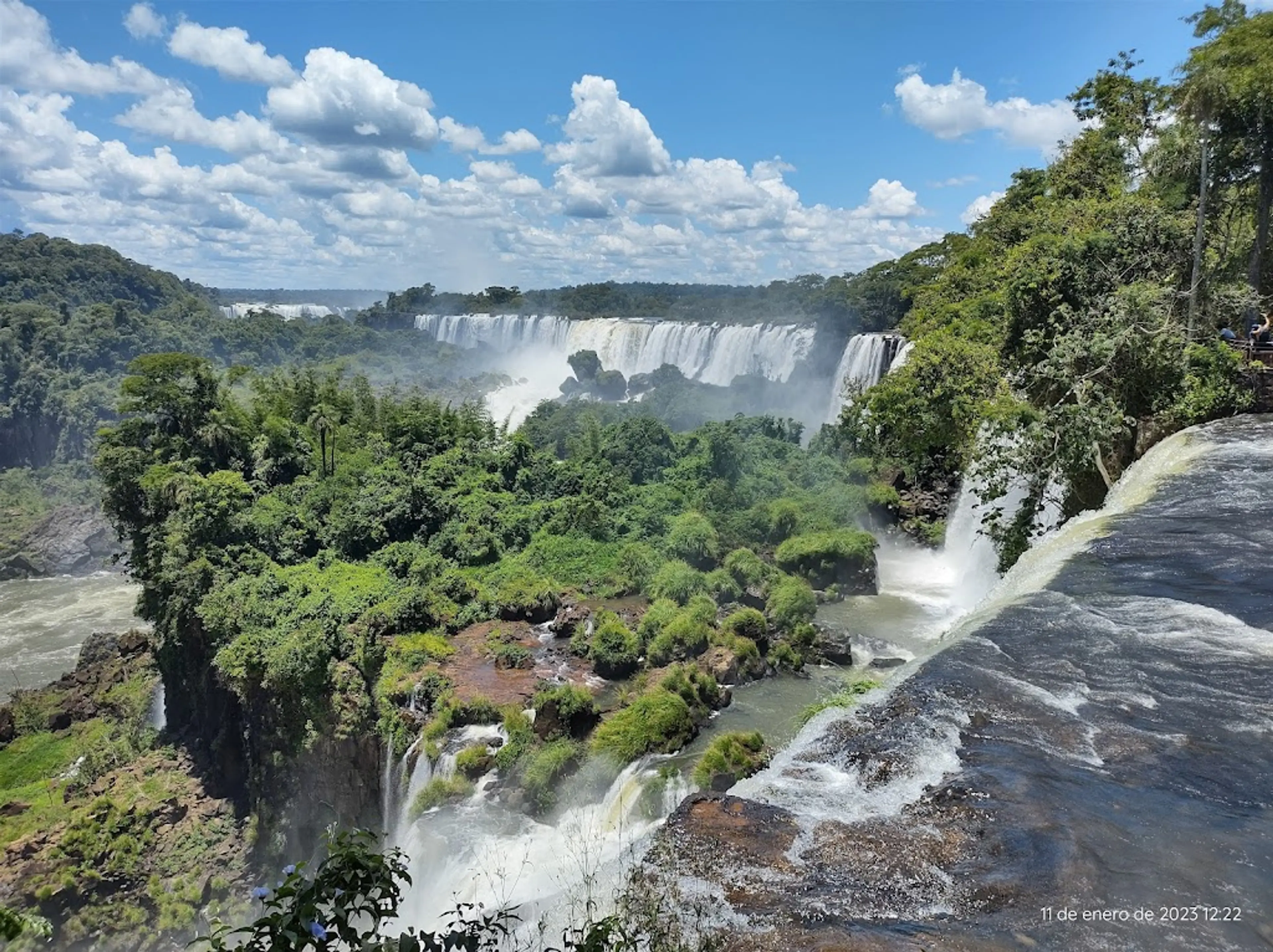 Jungle trek in Iguazu National Park