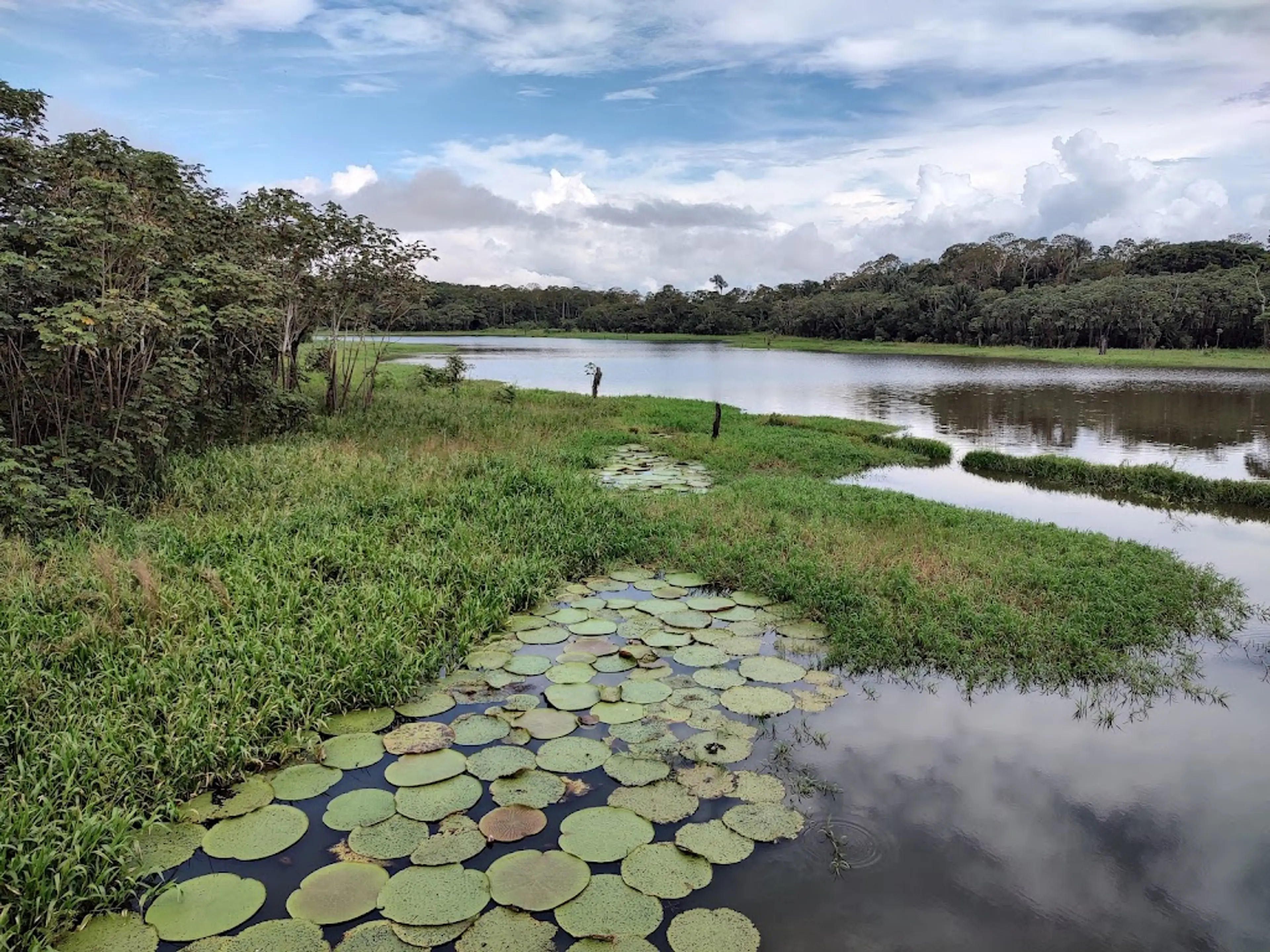 January Ecological Park