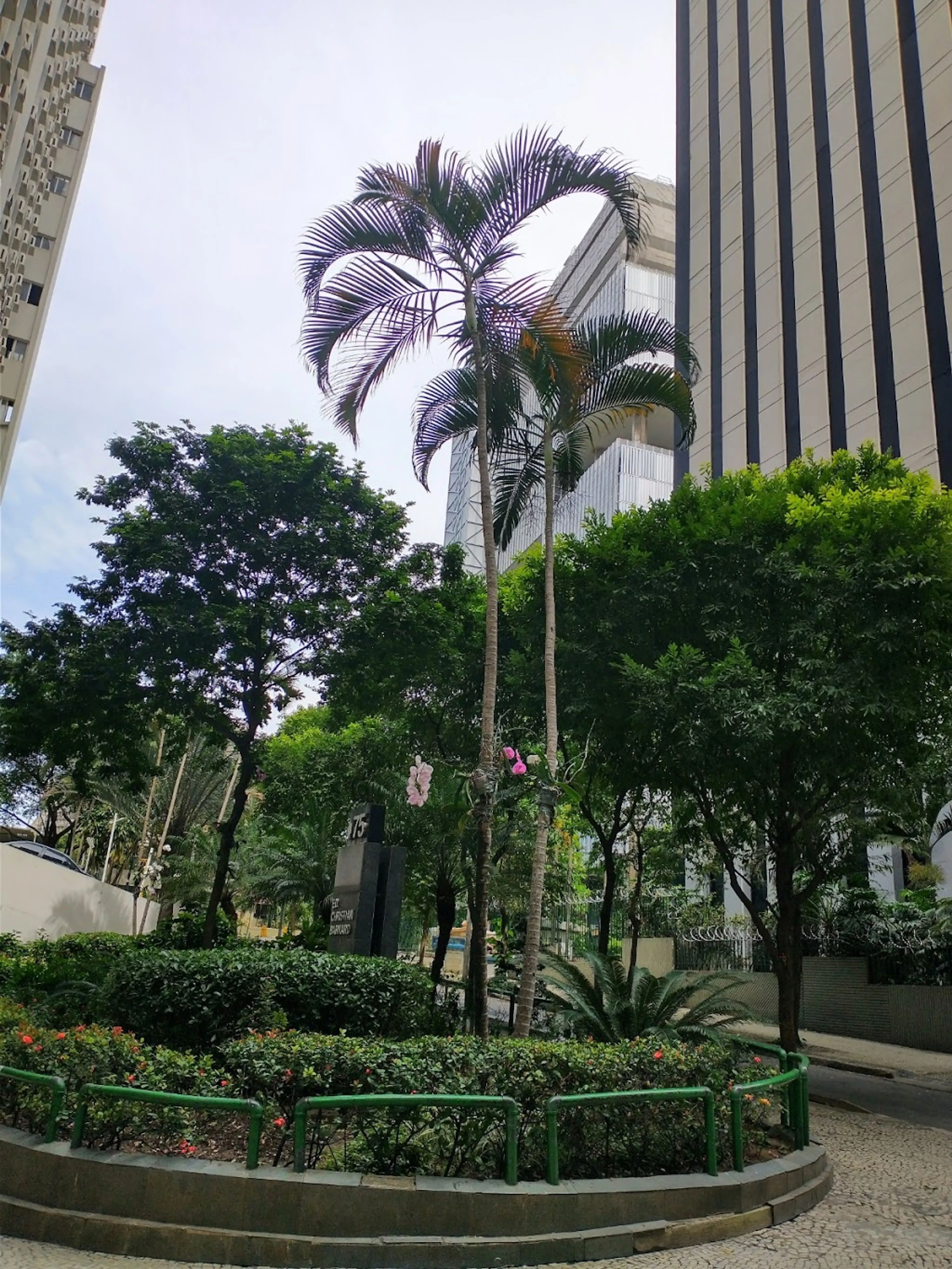 Lapa Neighborhood