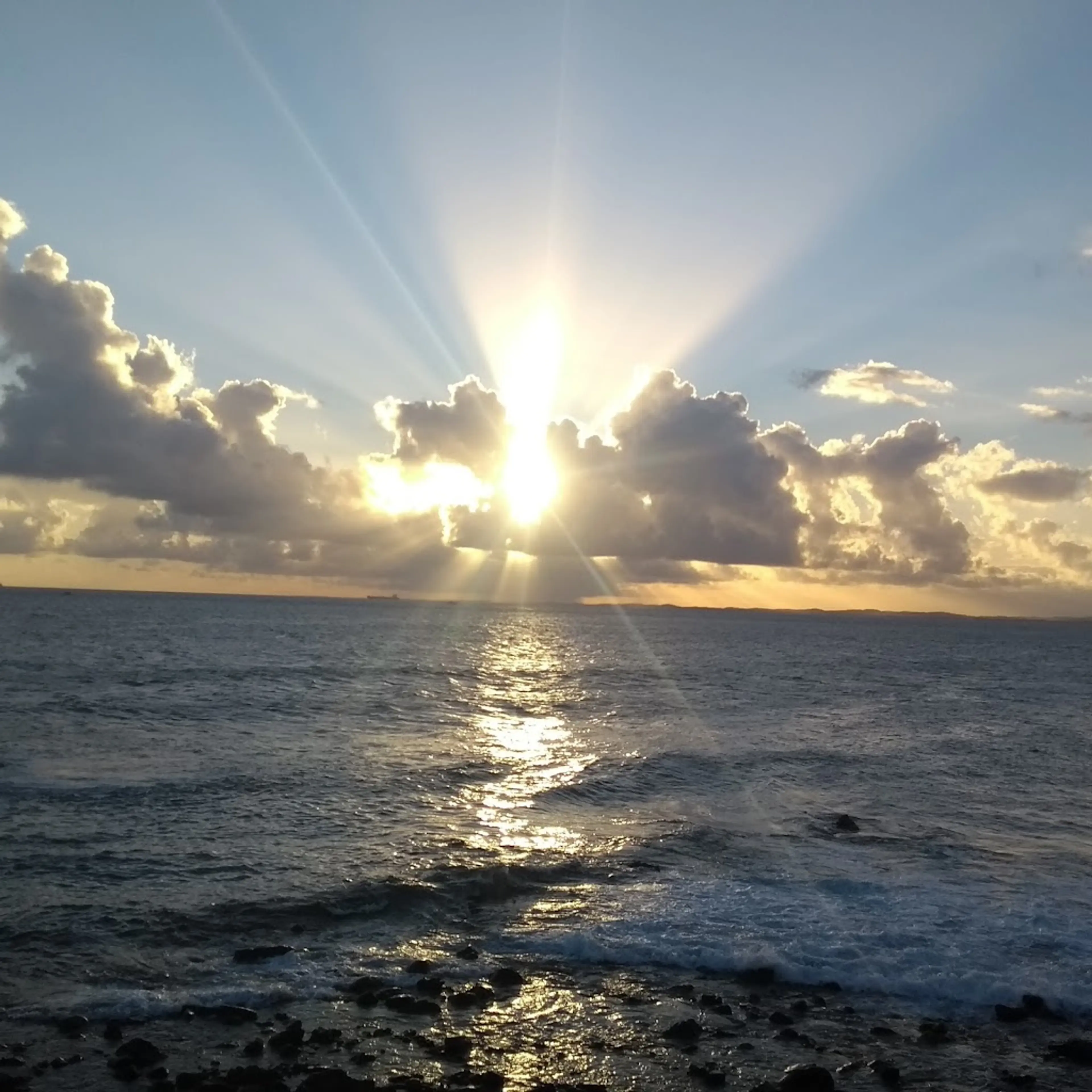 Farol da Barra Park