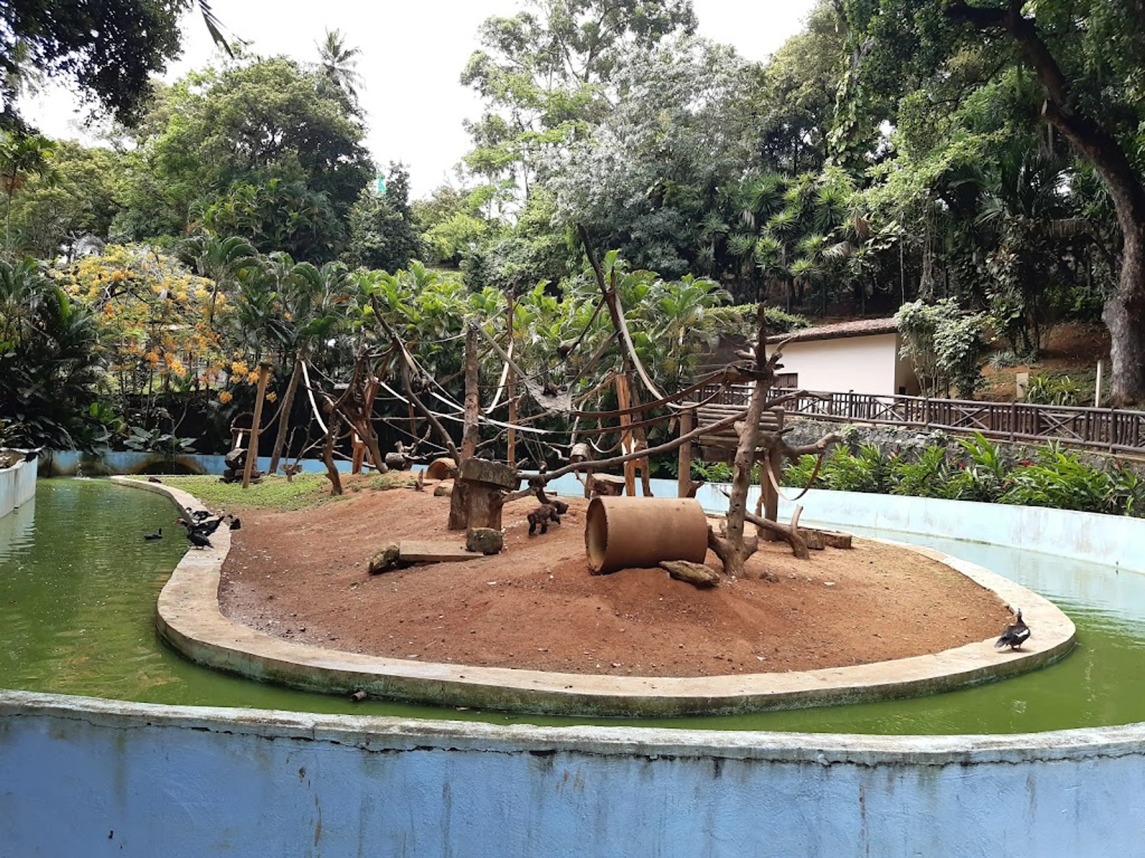 Salvador Zoo and Botanical Garden