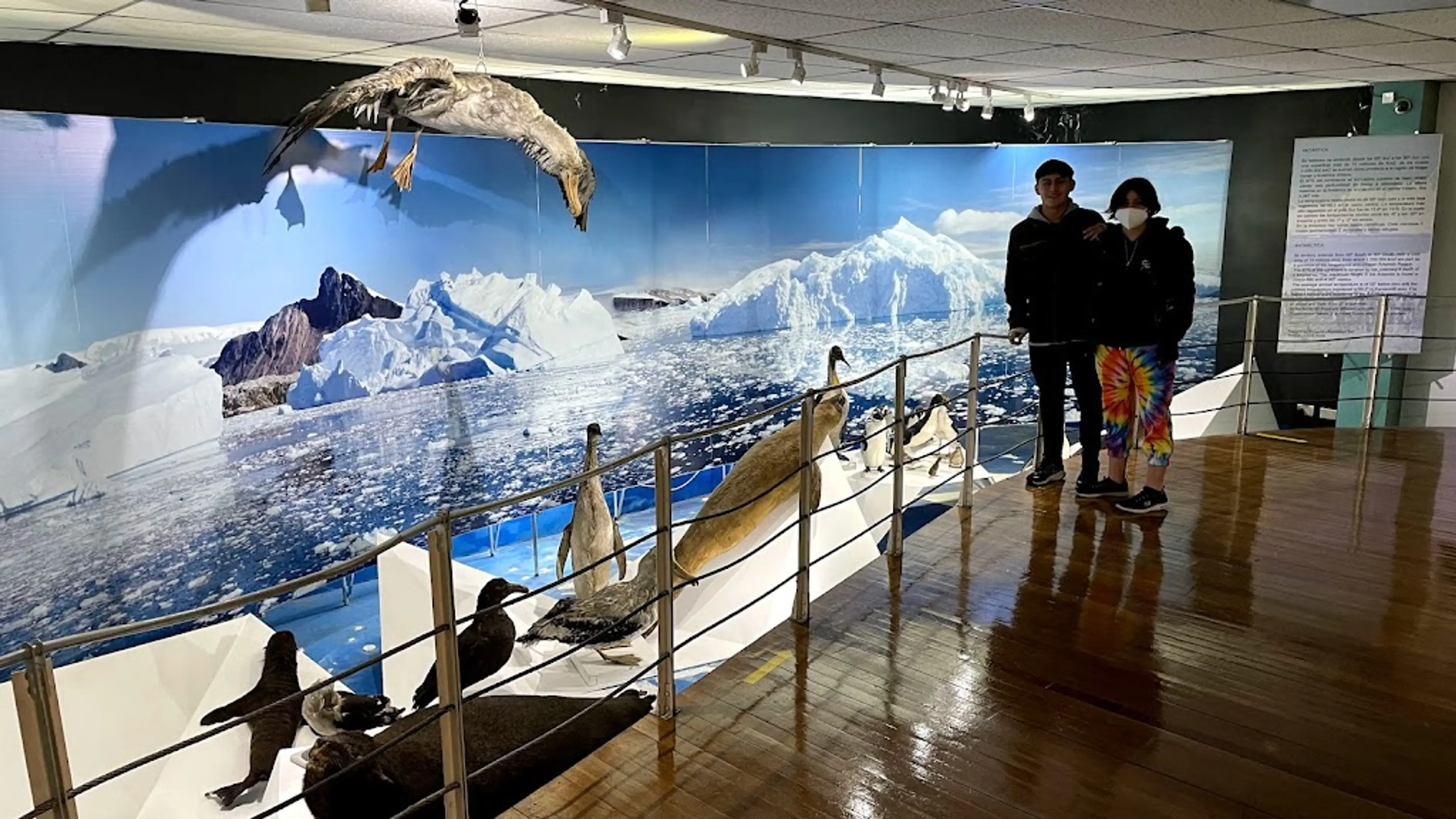 Maggiorino Borgatello Salesian Museum