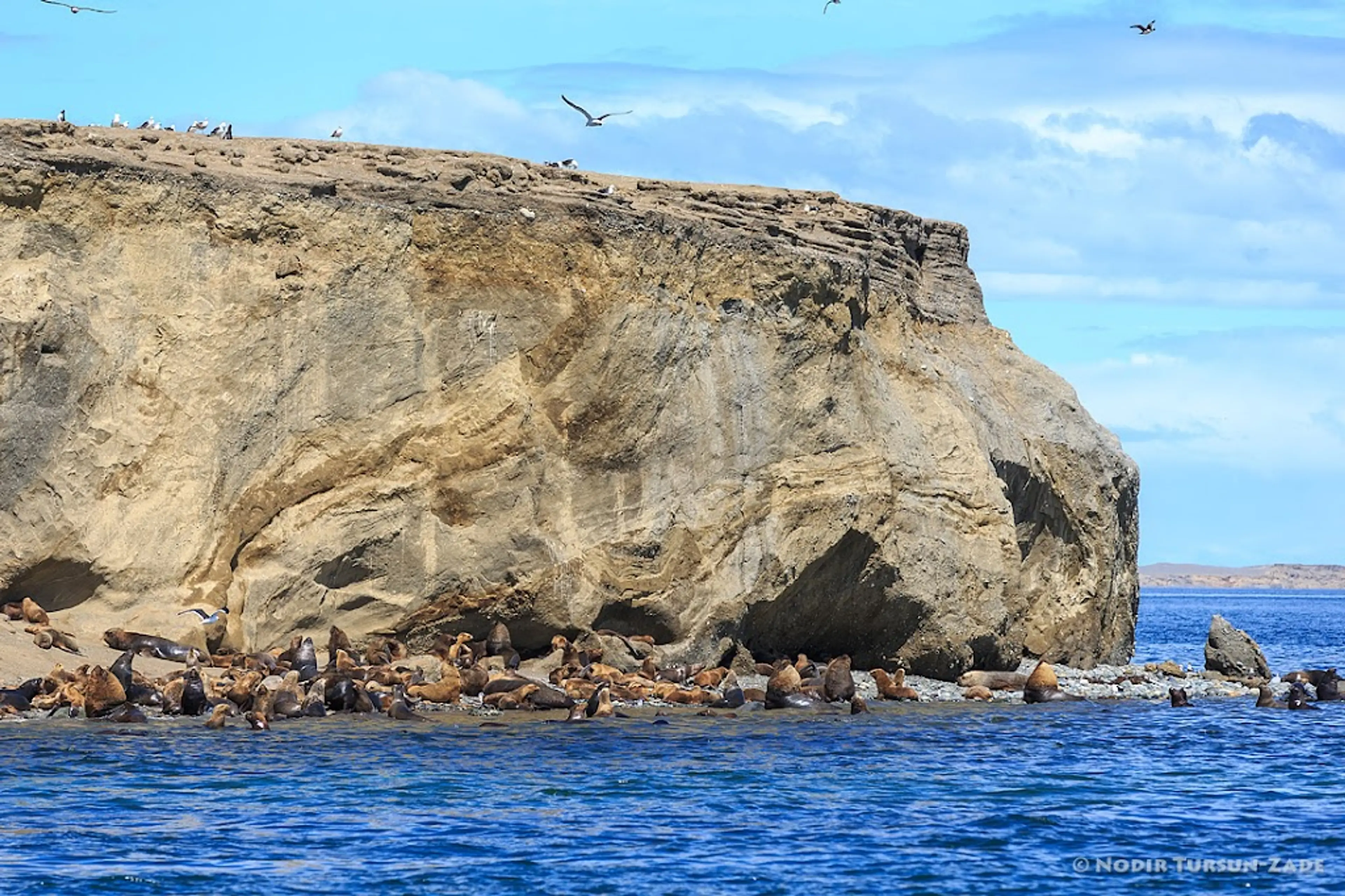 Marta Island