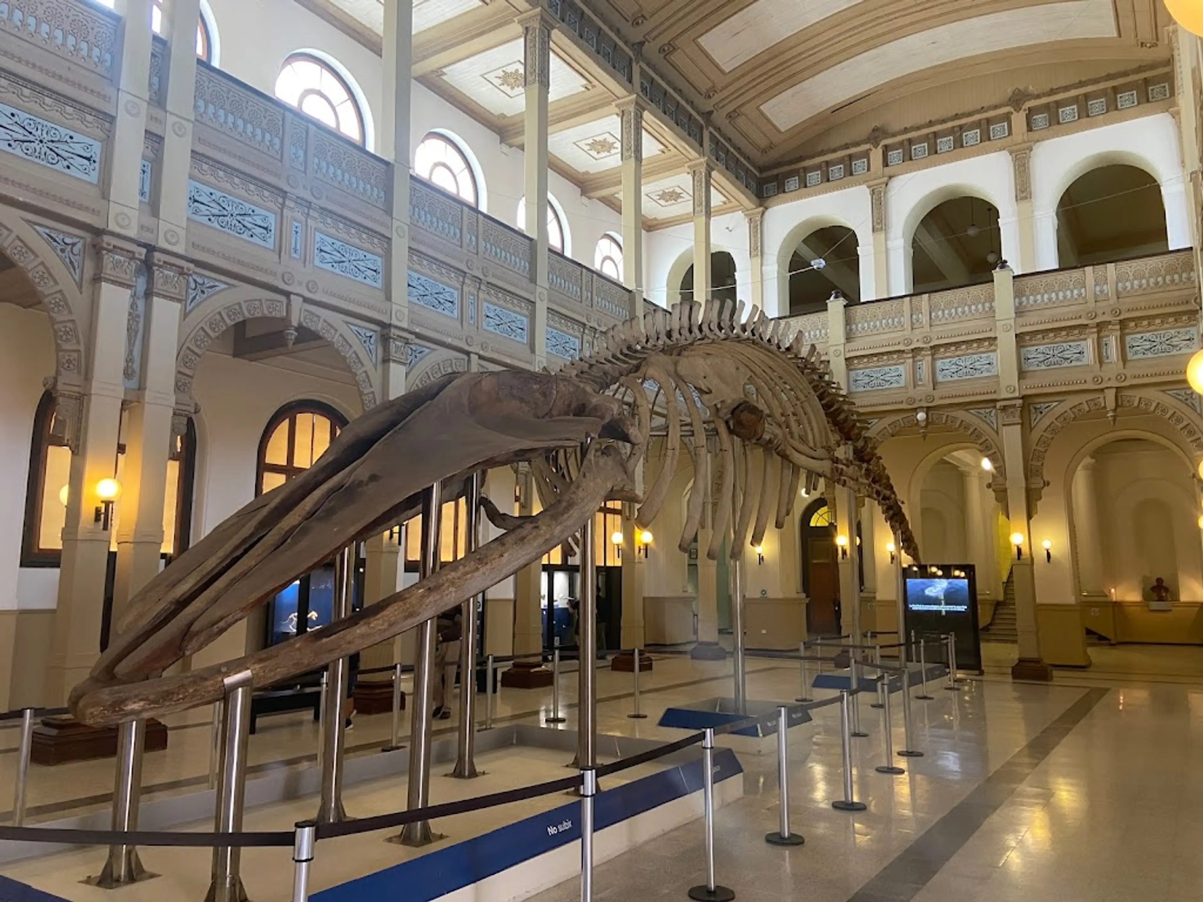 Chilean National Museum of Natural History