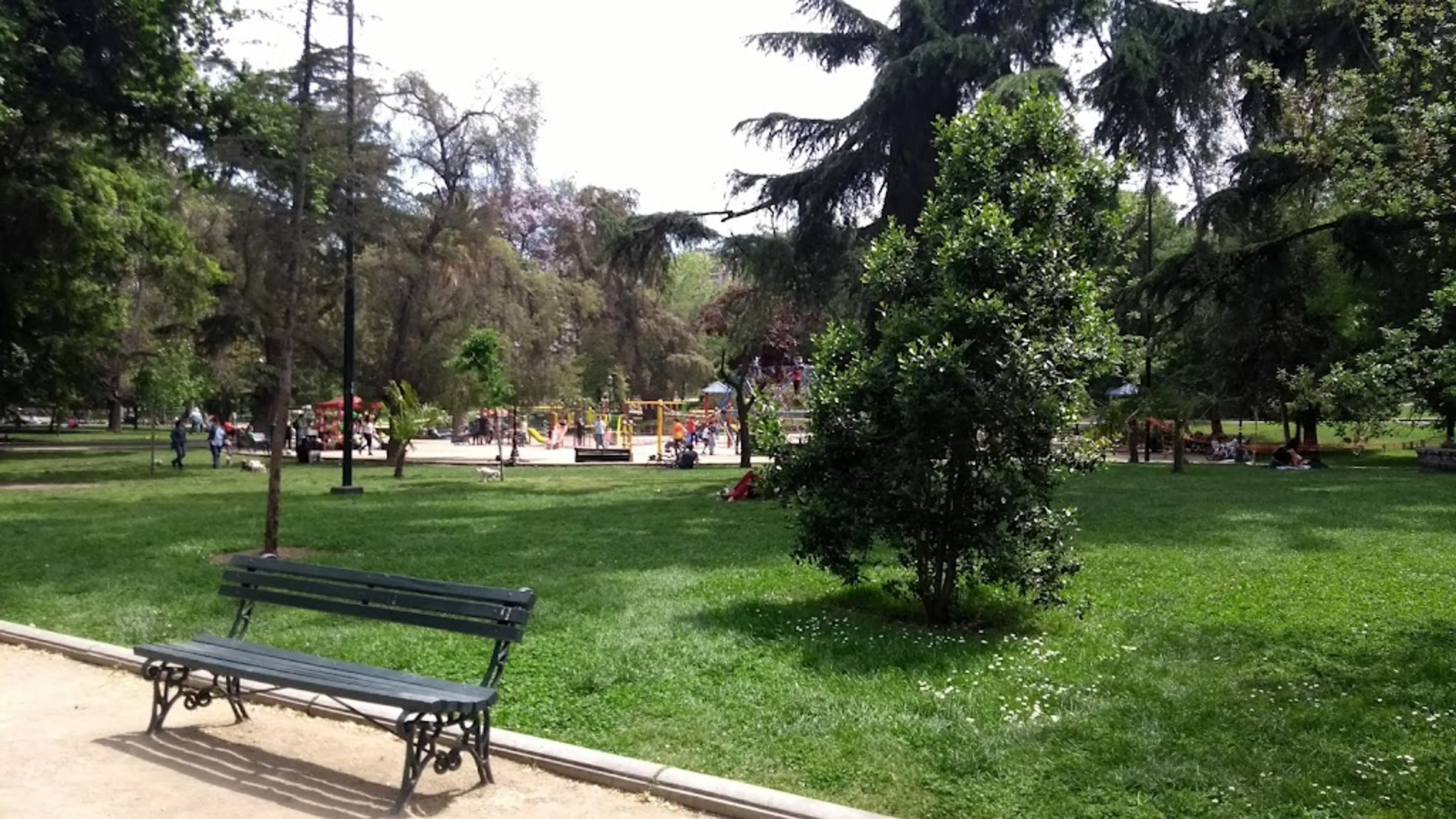 Forestal Park