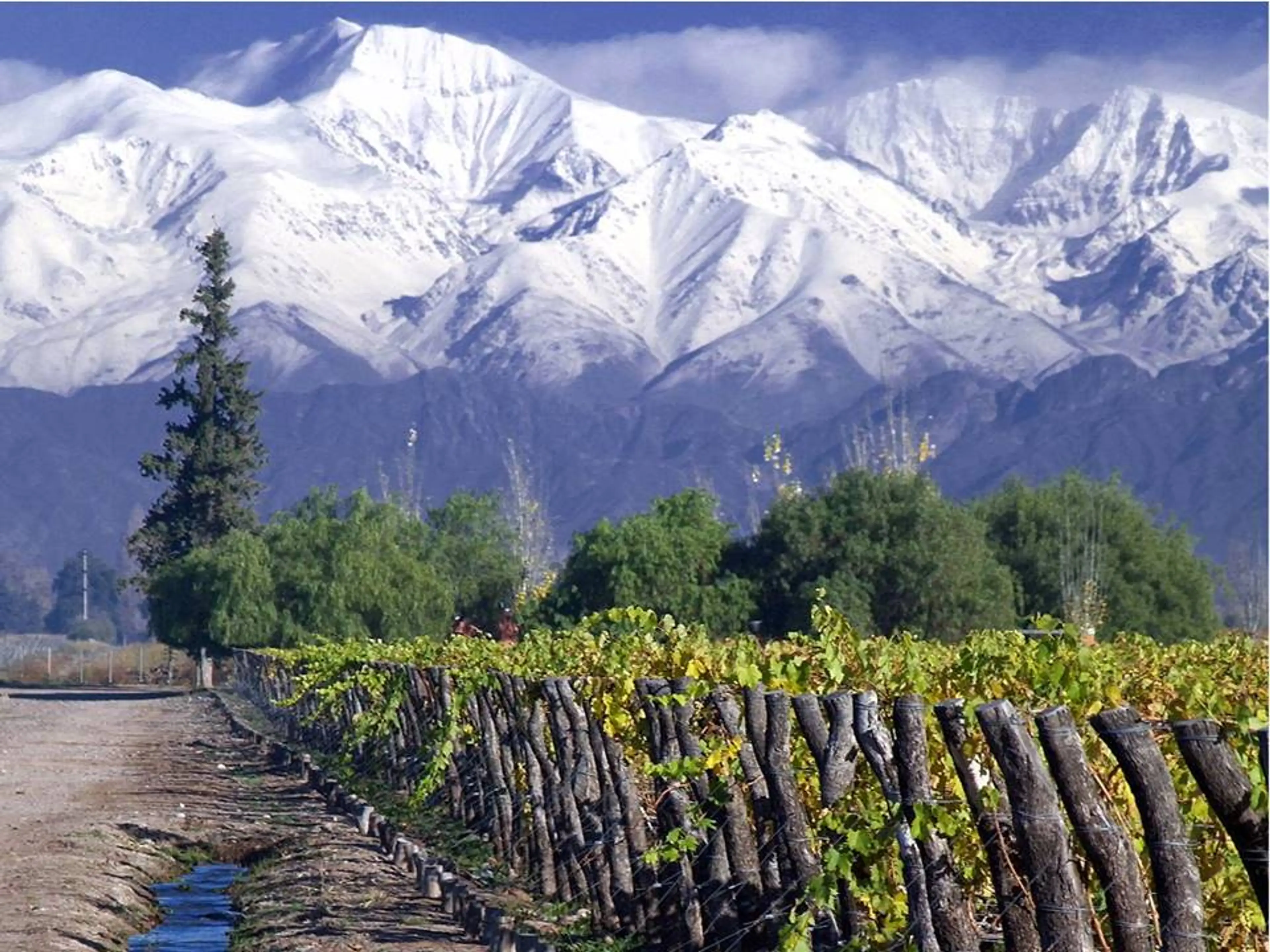 Maipo Valley